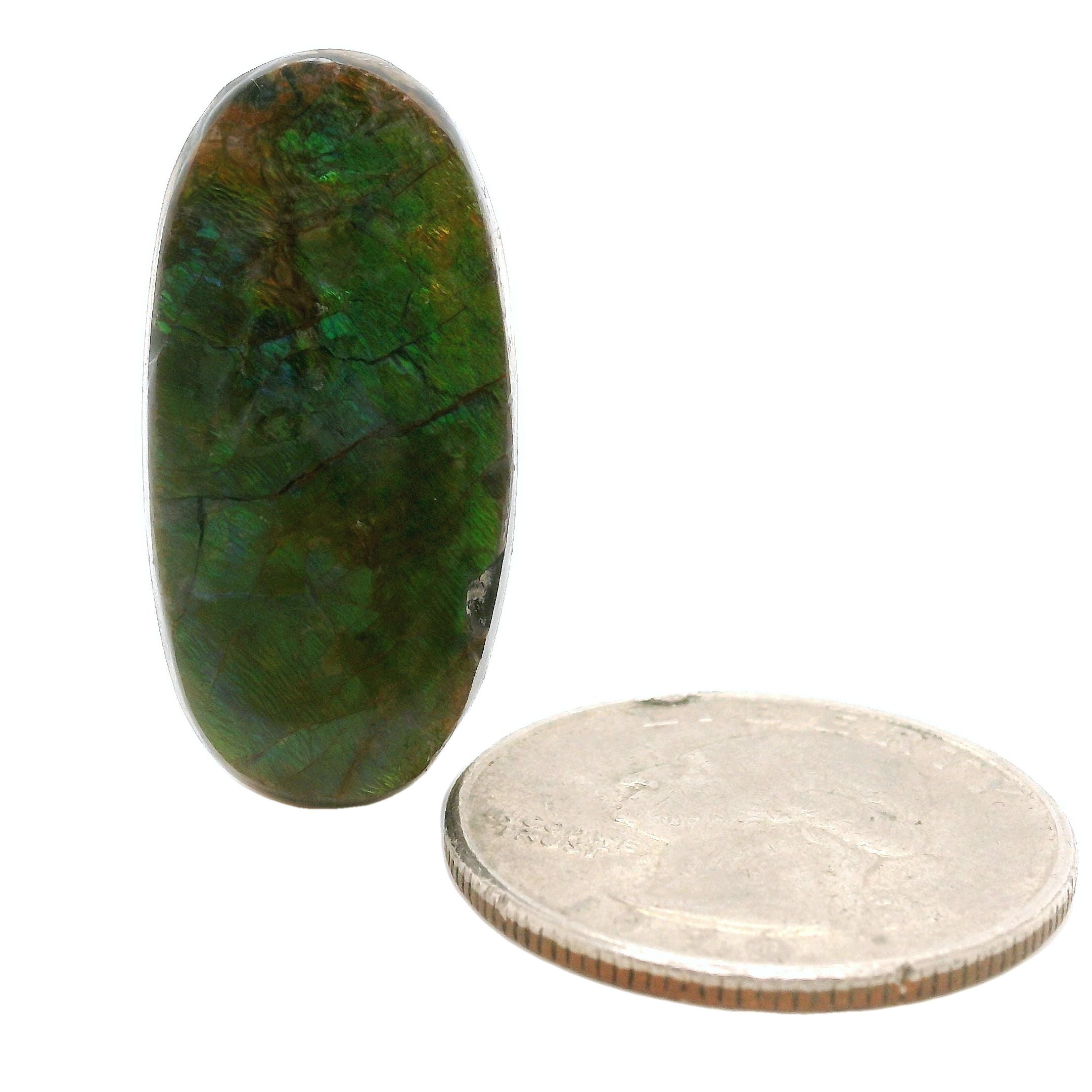 Ammolite Gemstone, 32.510cts