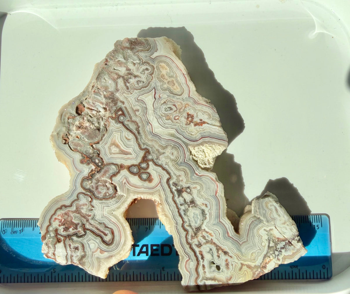Crazy Lace Agate Slab from Mexico; 174.56 grams