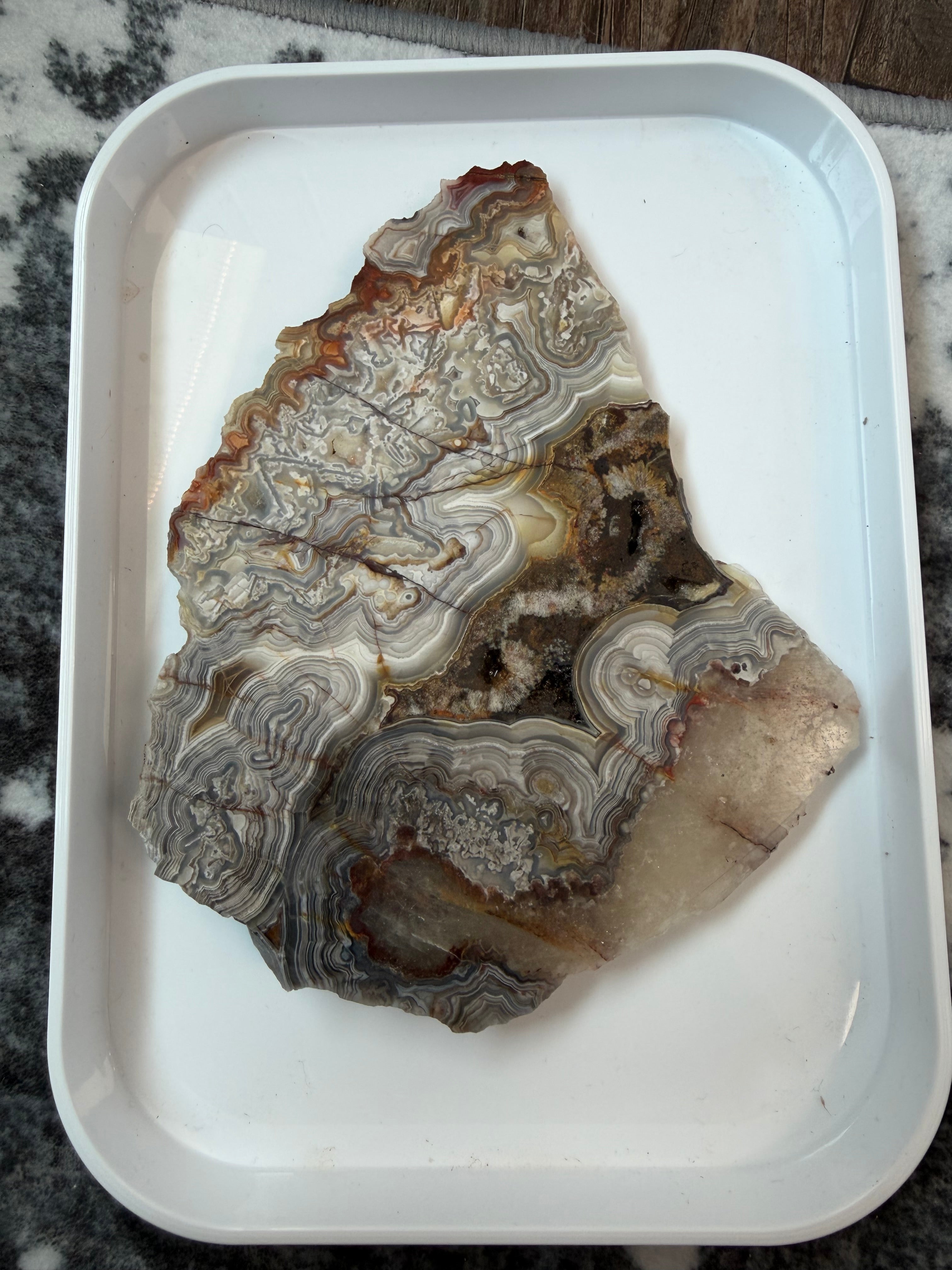 Crazy Lace Agate Slab from Mexico; 194.17 grams