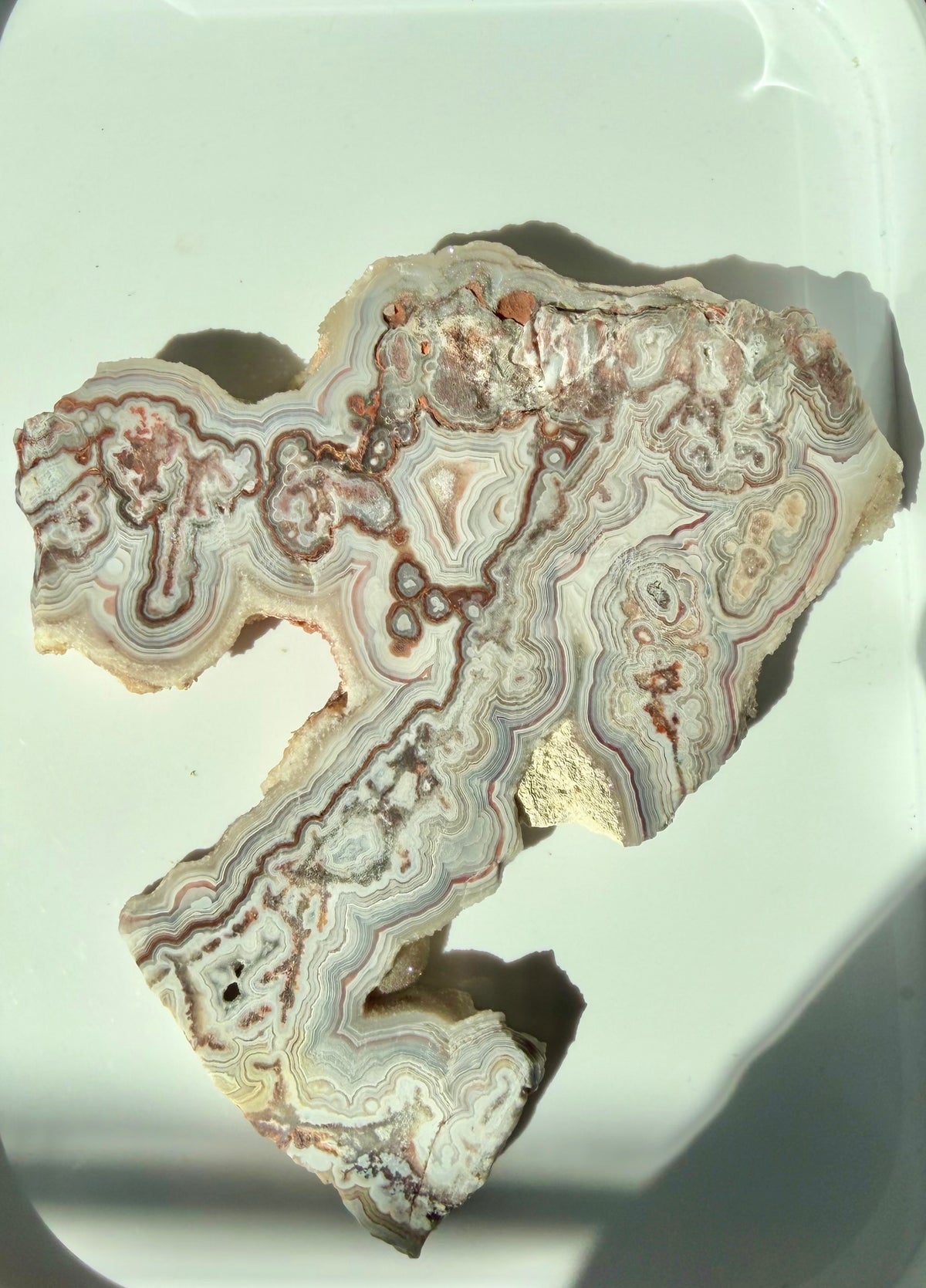 Crazy Lace Agate Slab from Mexico; 174.56 grams