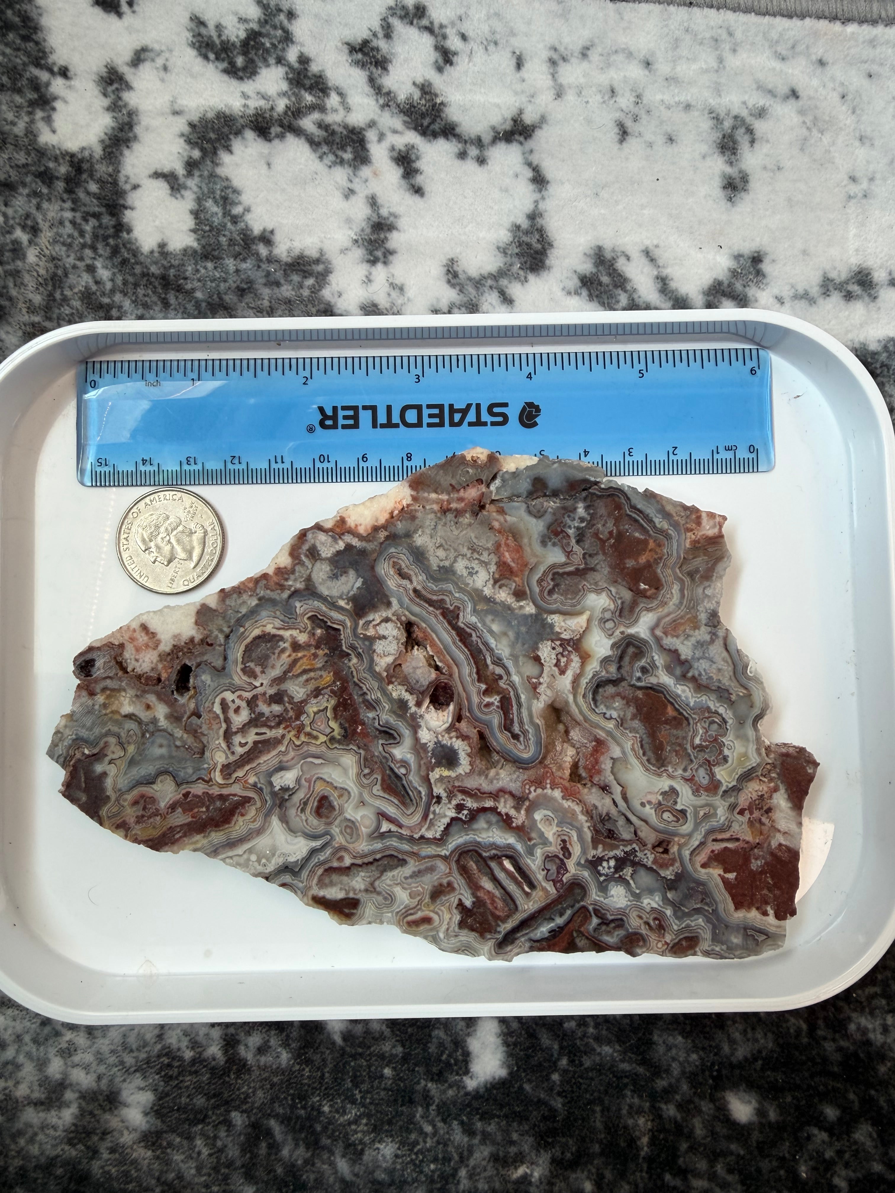 Crazy Lace Agate Slab from Mexico; 303.15 grams