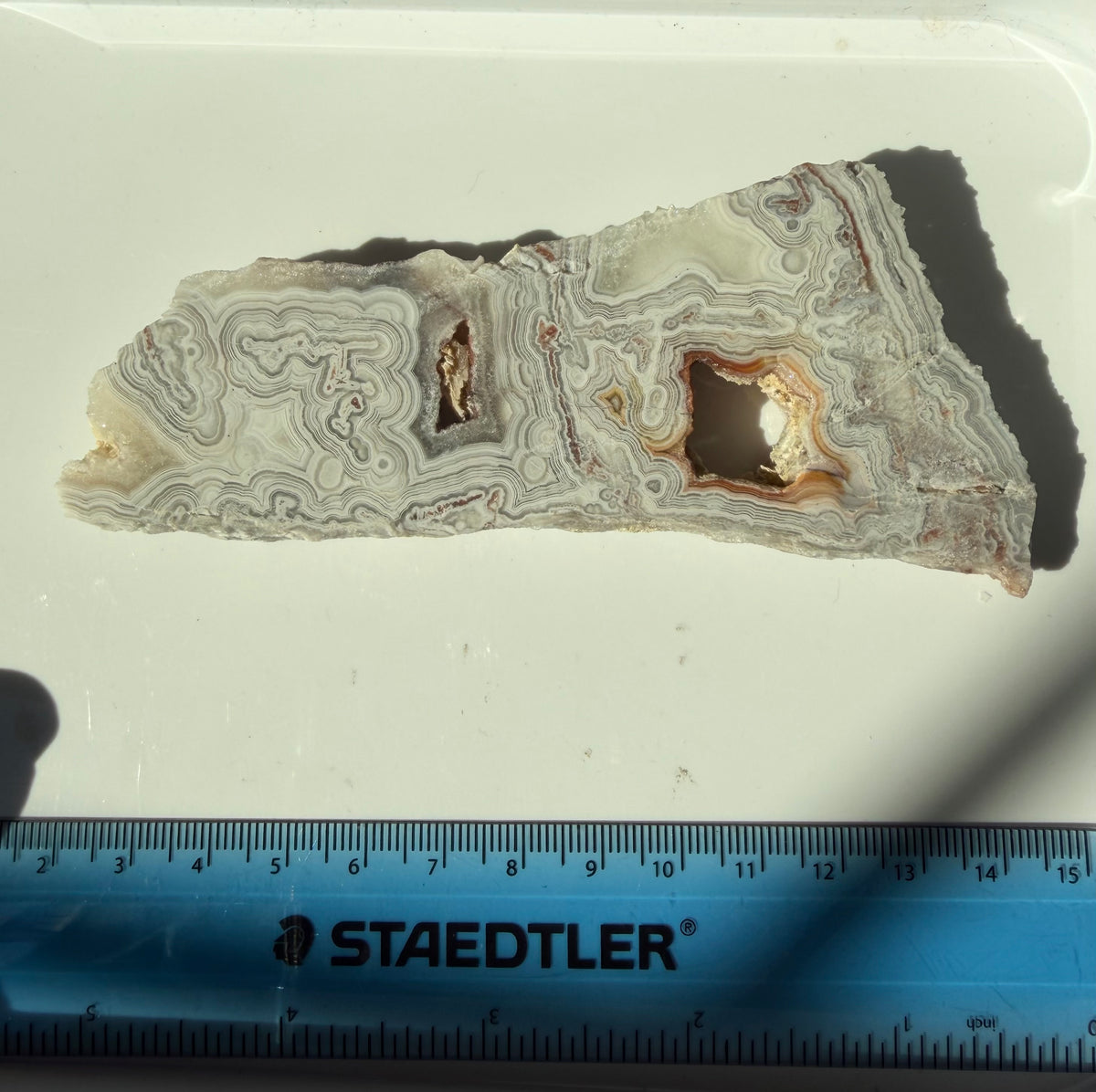 Crazy Lace Agate Slab from Mexico; 76.39 grams