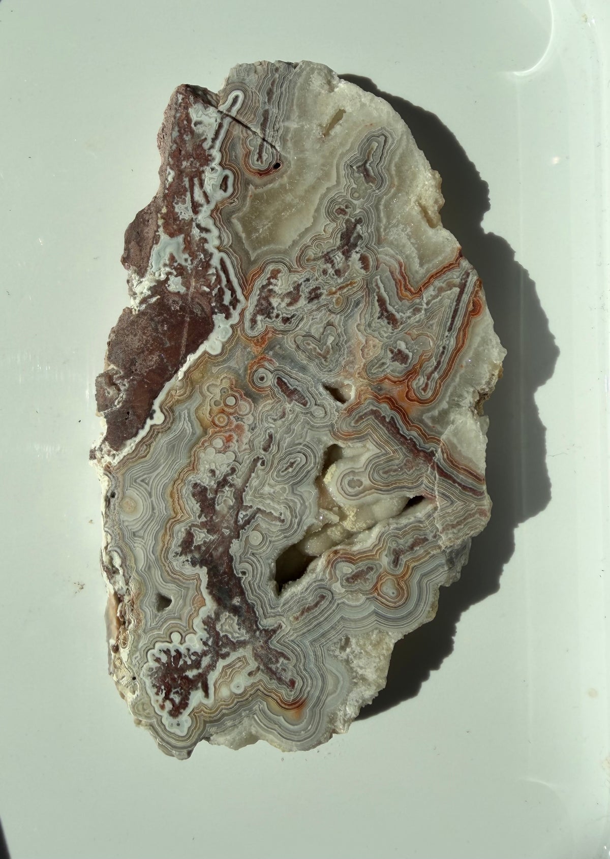 Crazy Lace Agate Slab from Mexico; 150.12 grams