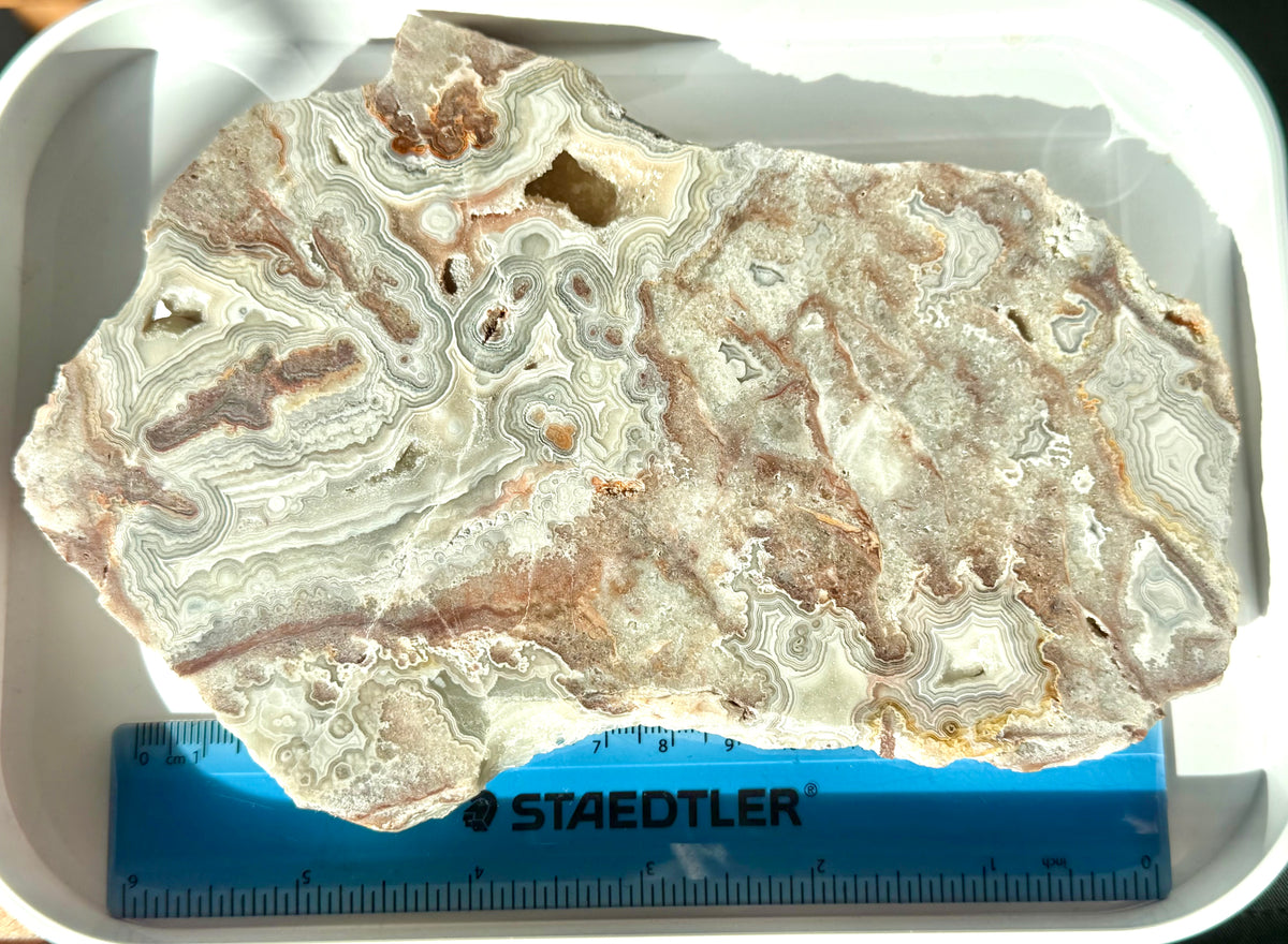 Crazy Lace Agate Slab from Mexico; 412.53 grams