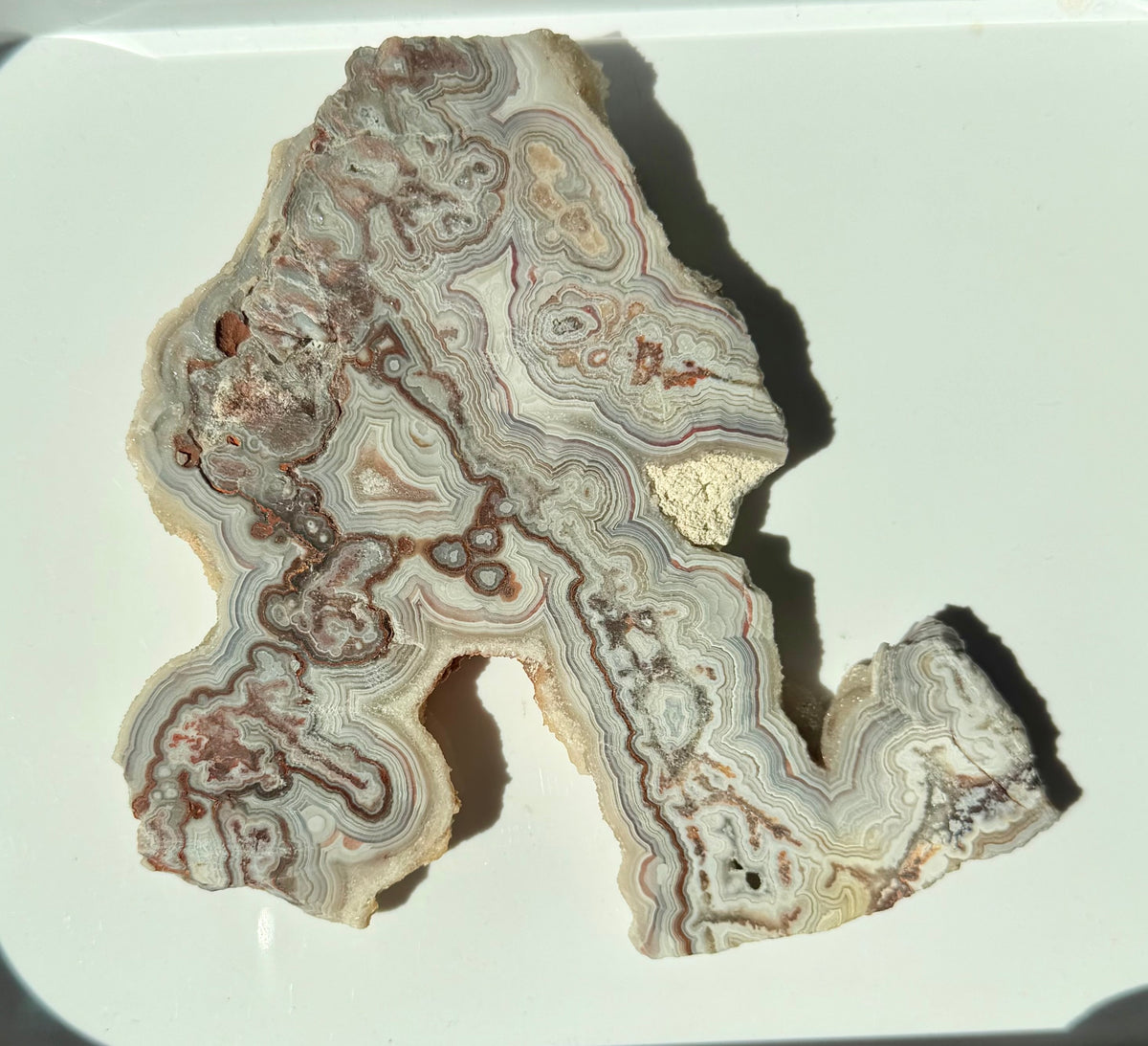 Crazy Lace Agate Slab from Mexico; 174.56 grams