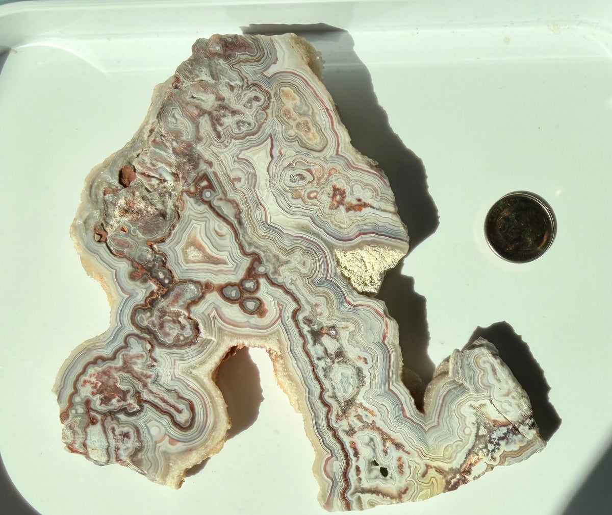 Crazy Lace Agate Slab from Mexico; 174.56 grams