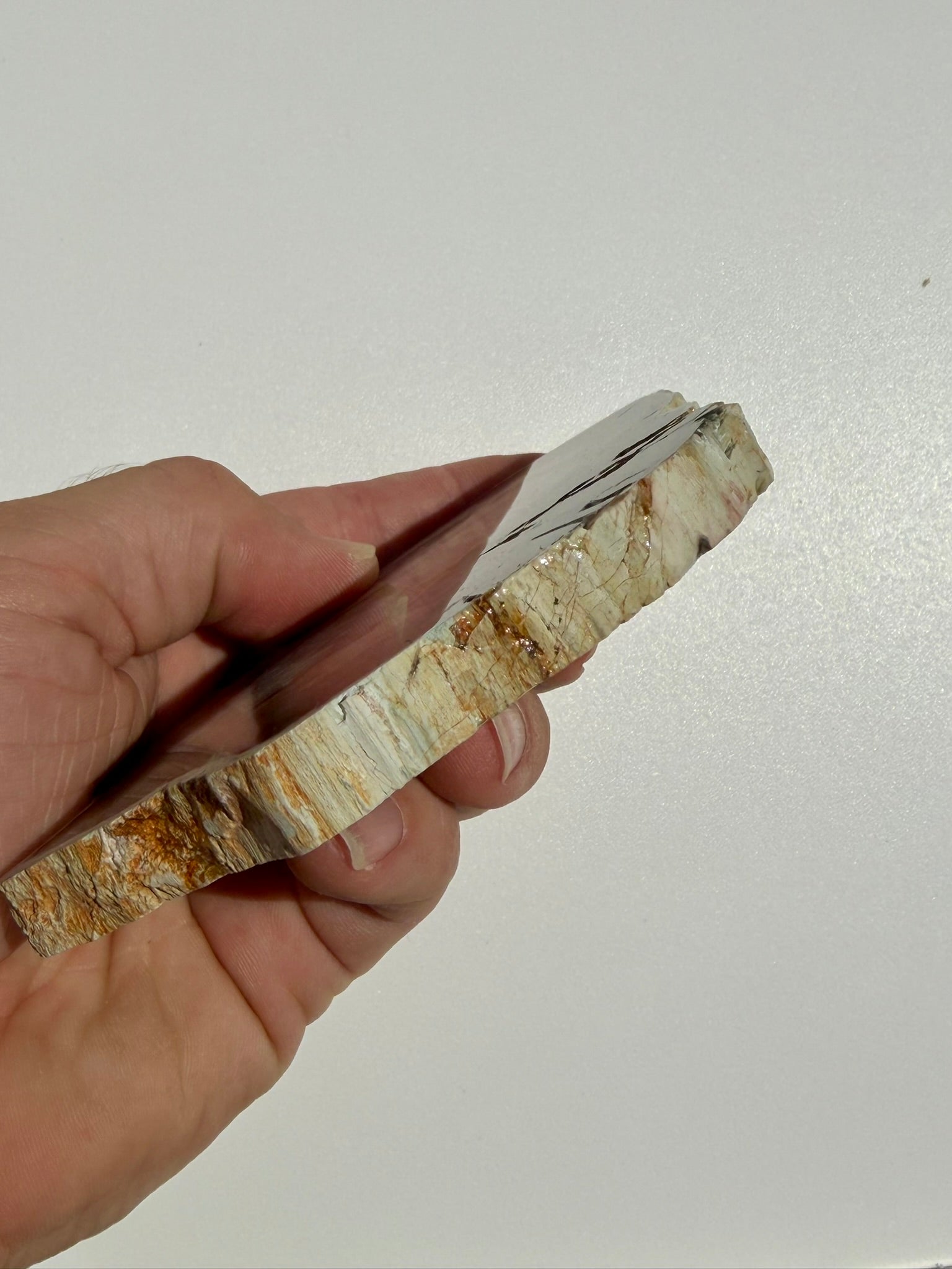 Petrified Wood Slab from Madagascar; 239.11 grams
