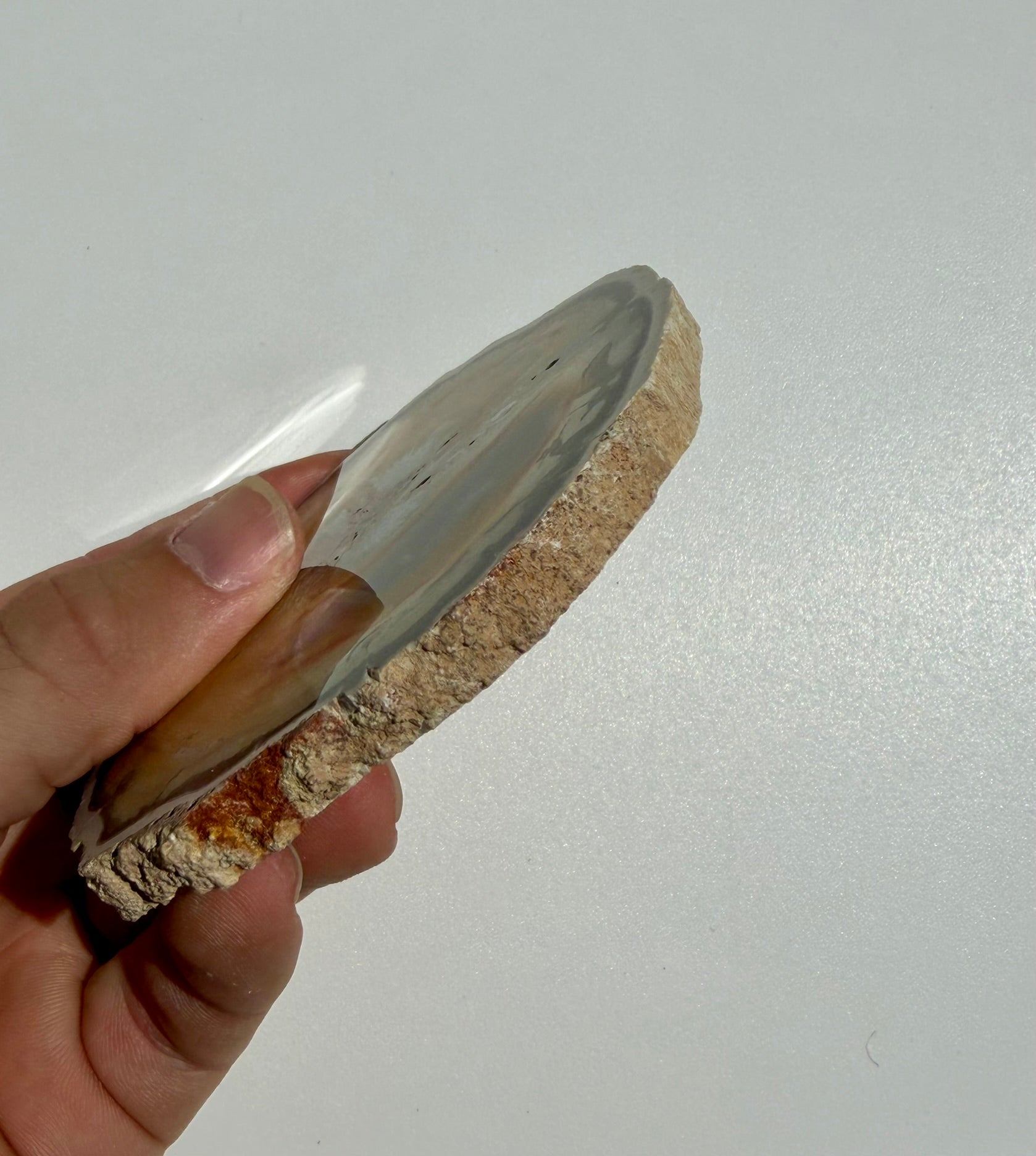 Petrified Wood Slab from Madagascar; 144.05 grams
