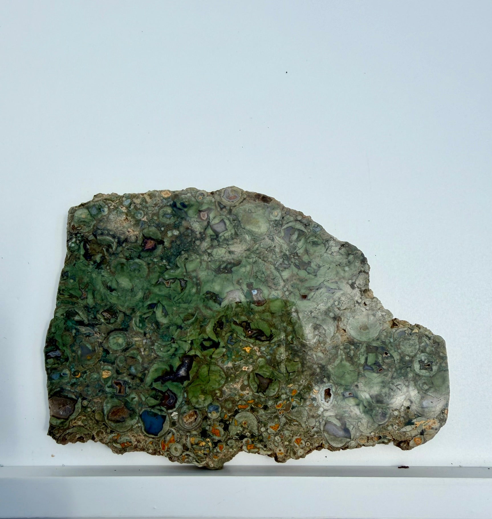Rainforest Jasper Slab from Australia; 431.01 grams