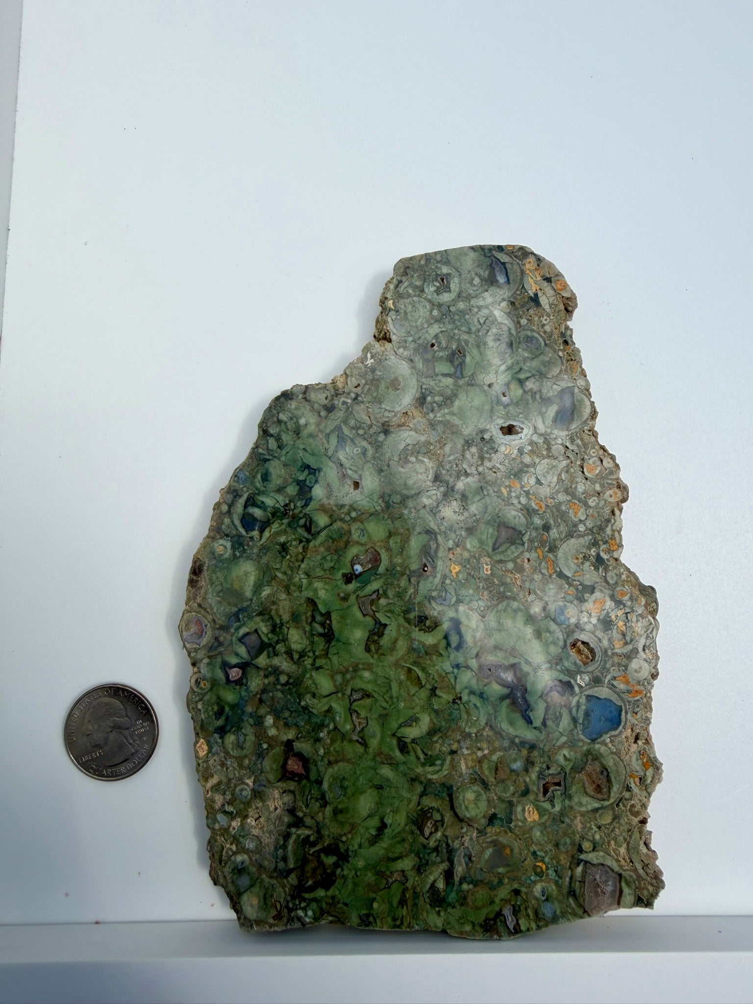 Rainforest Jasper Slab from Australia; 431.01 grams