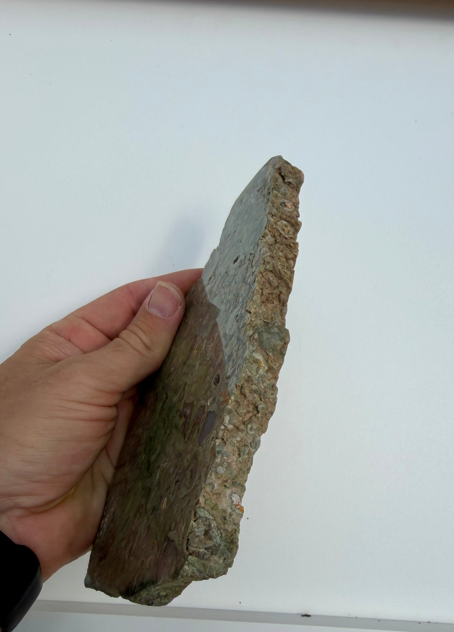 Rainforest Jasper Slab from Australia; 431.01 grams