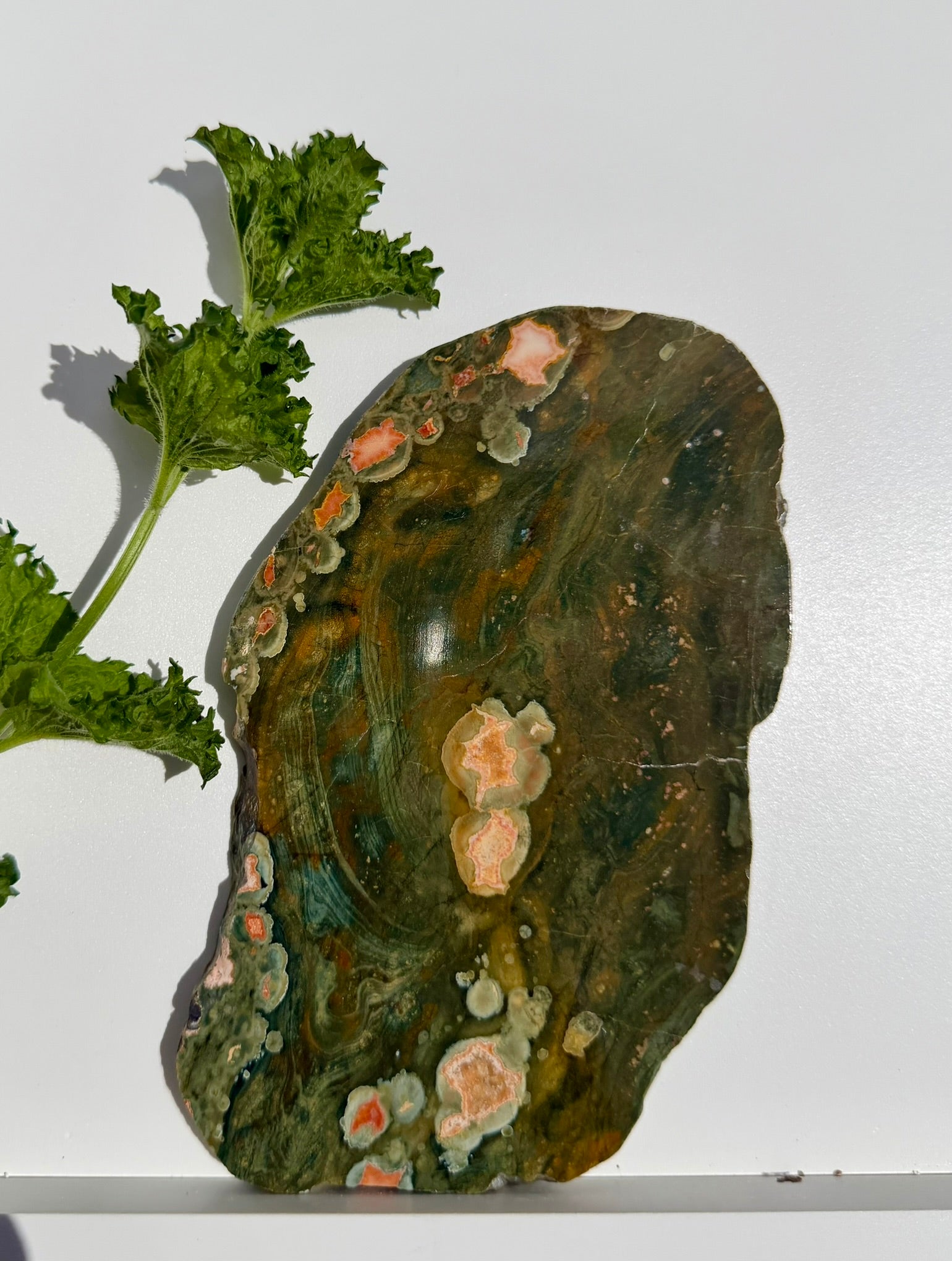 Rainforest Jasper Slab from Australia; 276.78 grams