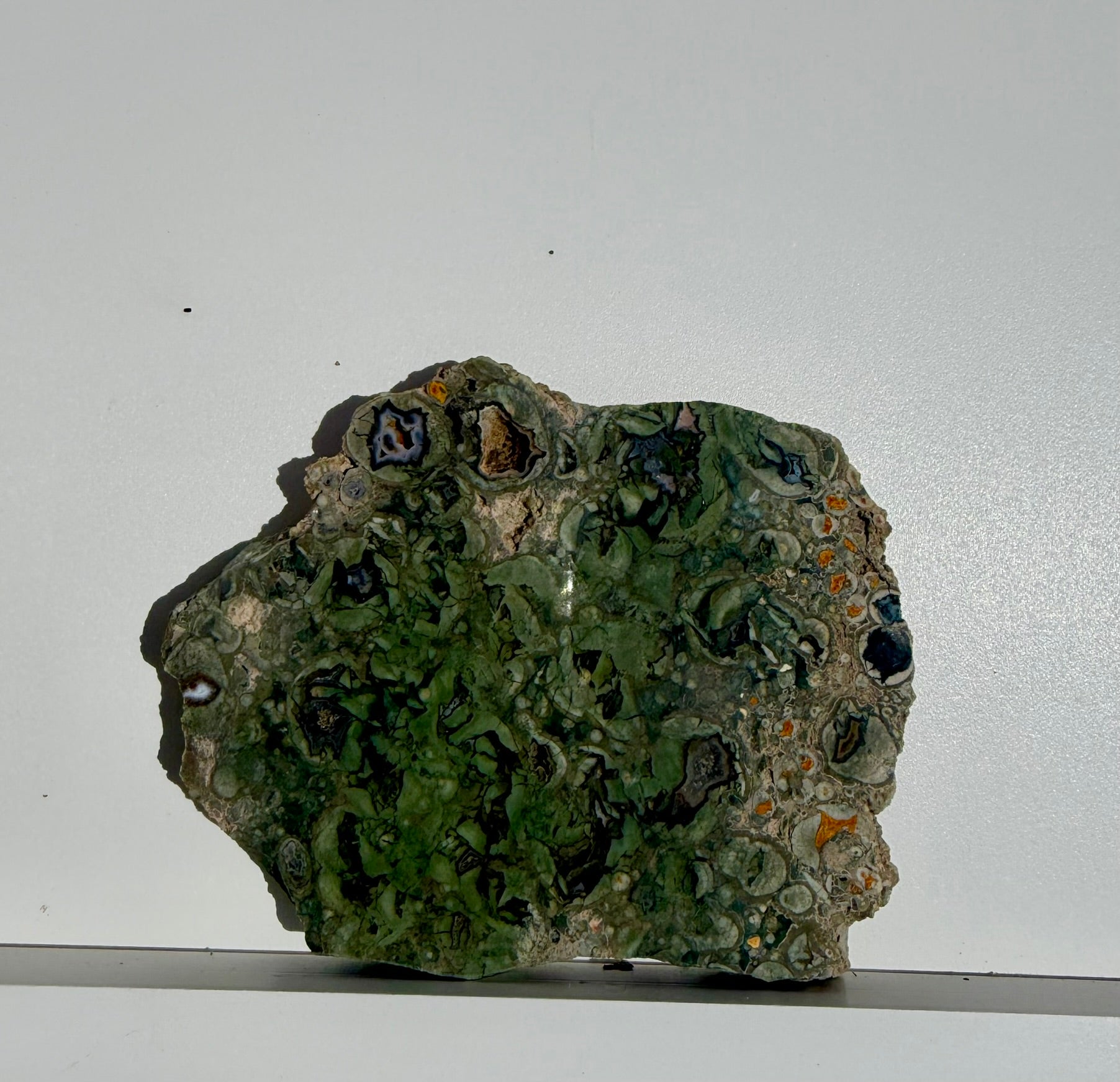 Rainforest Jasper Slab from Australia; 205.42 grams