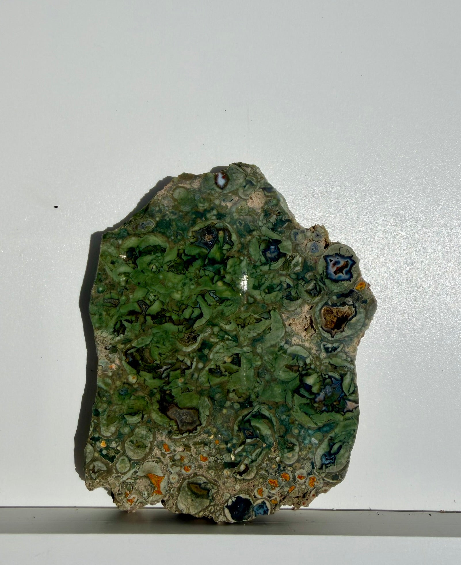 Rainforest Jasper Slab from Australia; 205.42 grams