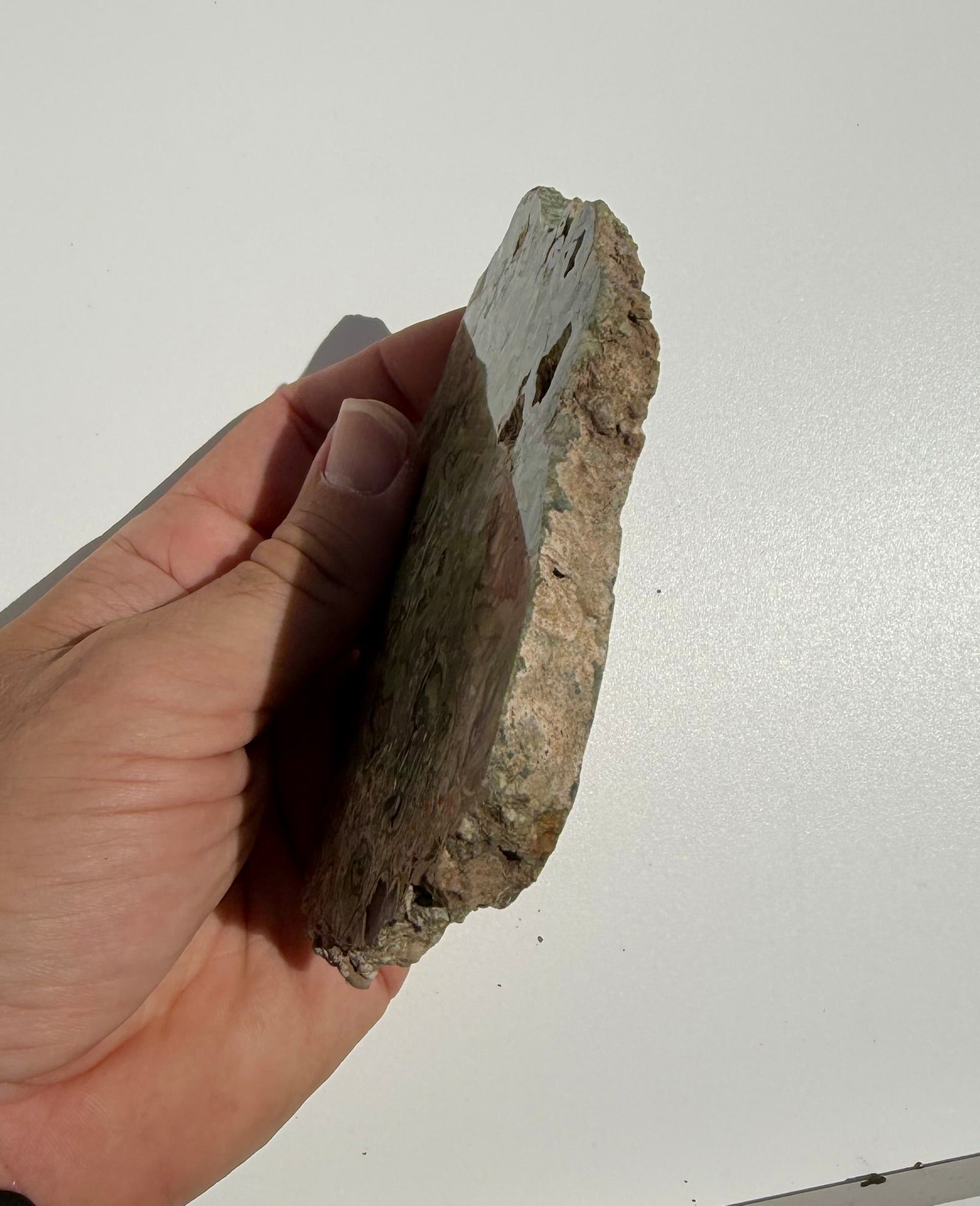 Rainforest Jasper Slab from Australia; 205.42 grams