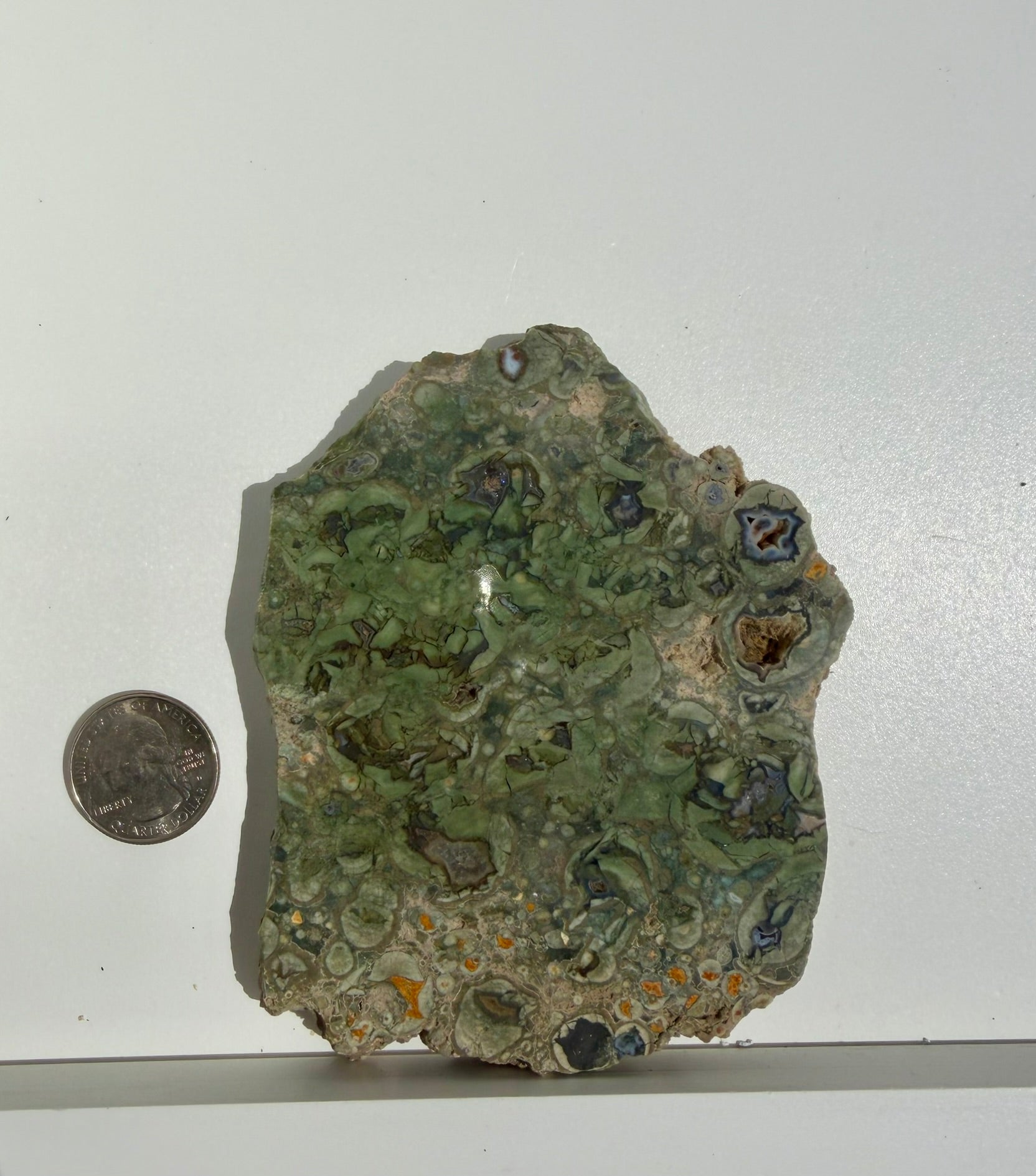 Rainforest Jasper Slab from Australia; 205.42 grams