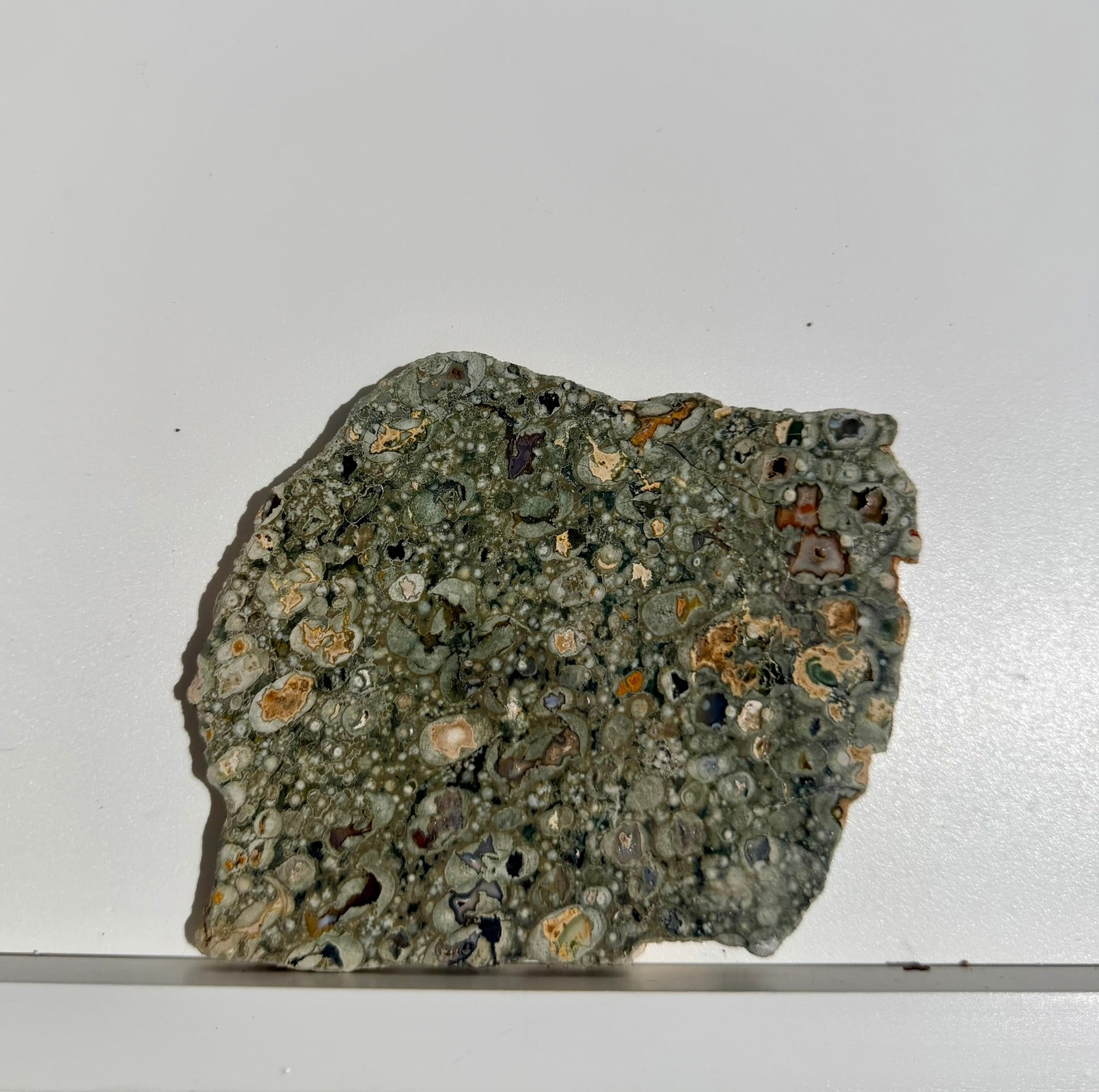 Rainforest Jasper Slab from Australia; 190.77 grams