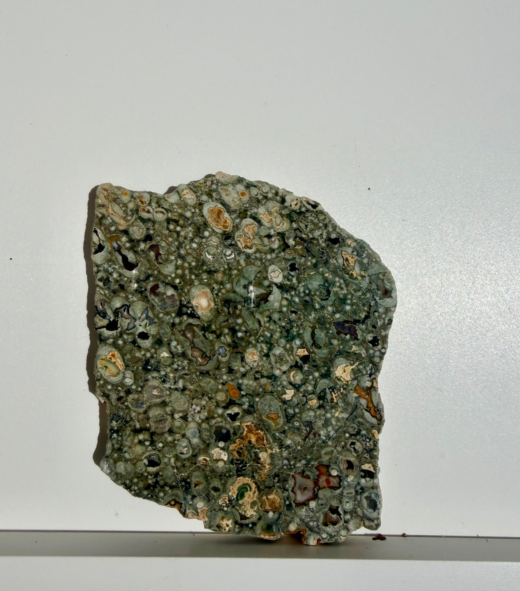 Rainforest Jasper Slab from Australia; 190.77 grams