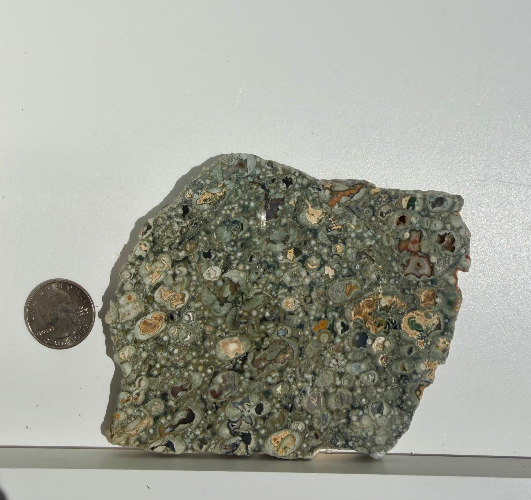 Rainforest Jasper Slab from Australia; 190.77 grams