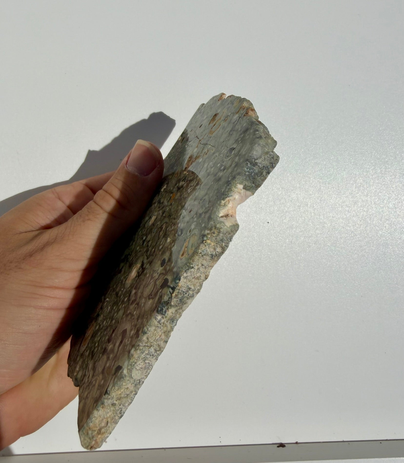 Rainforest Jasper Slab from Australia; 190.77 grams