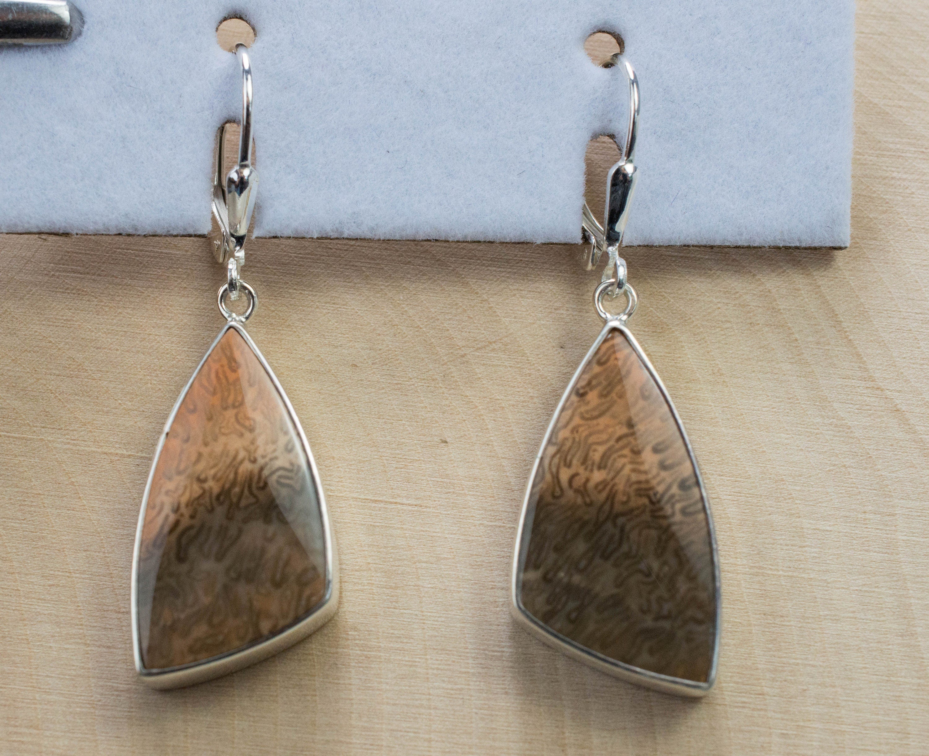 Petrified Fern Earrings; Genuine Untreated Australia Petrified Wood