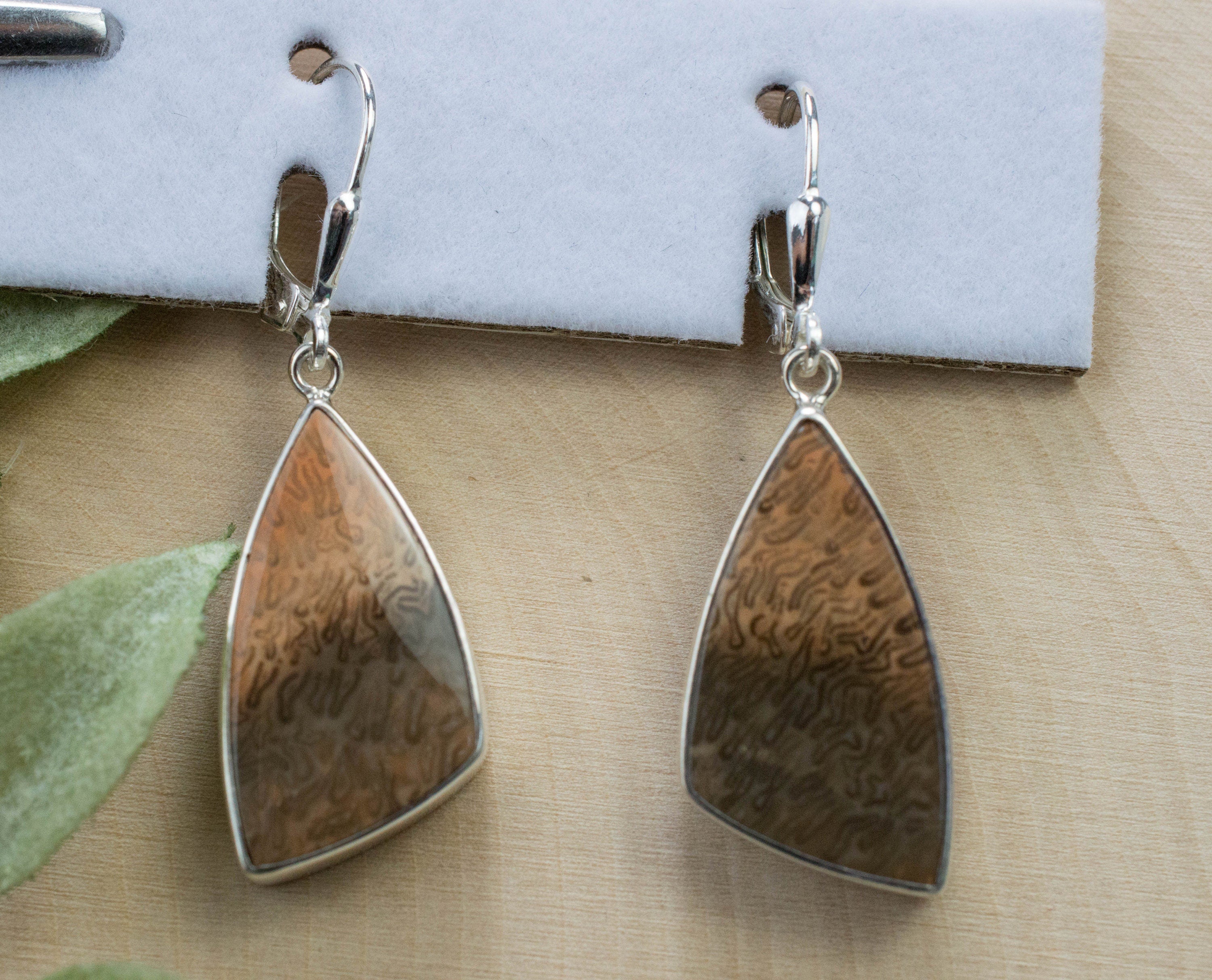 Petrified Fern Earrings; Genuine Untreated Australia Petrified Wood