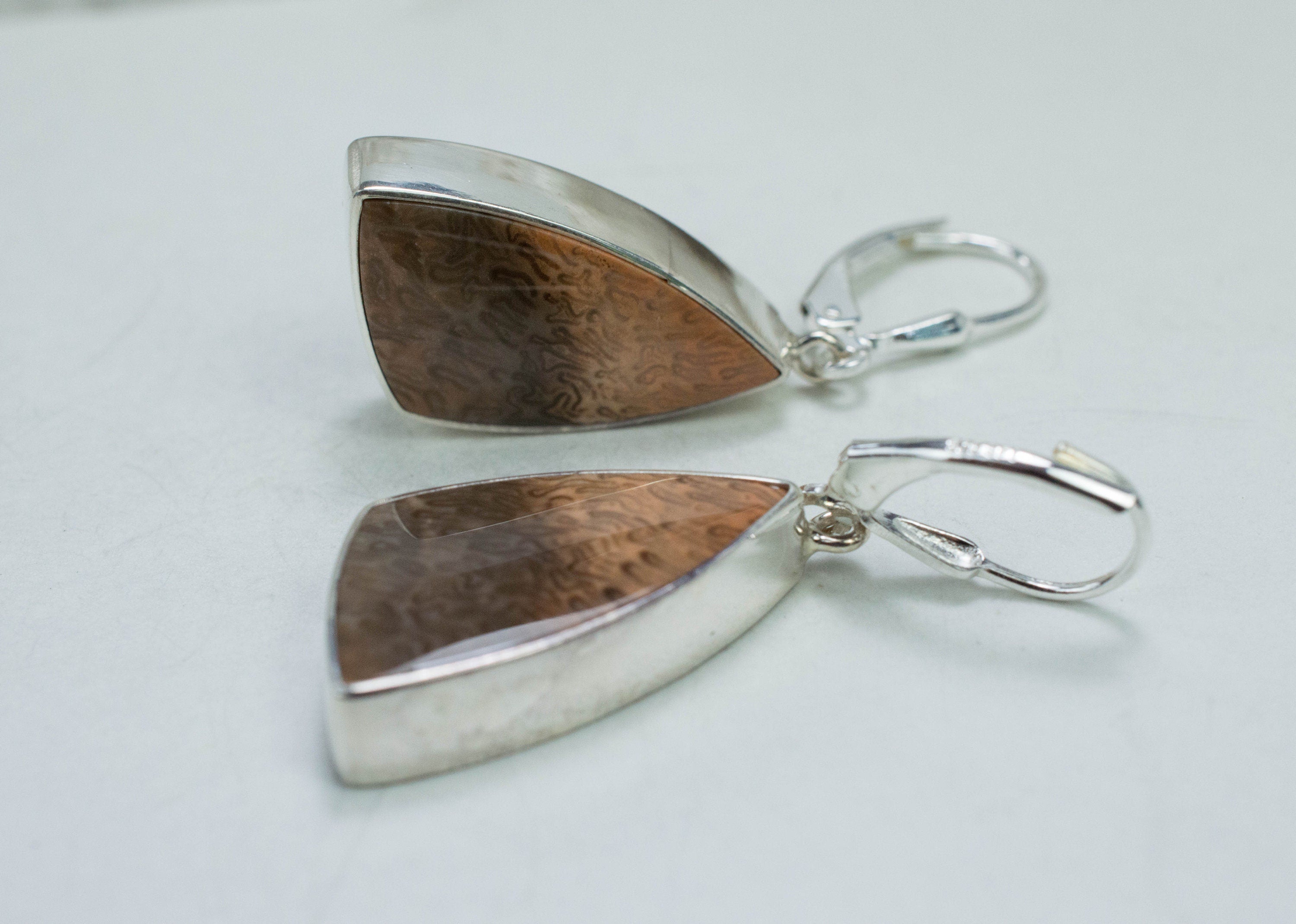 Petrified Fern Earrings; Genuine Untreated Australia Petrified Wood