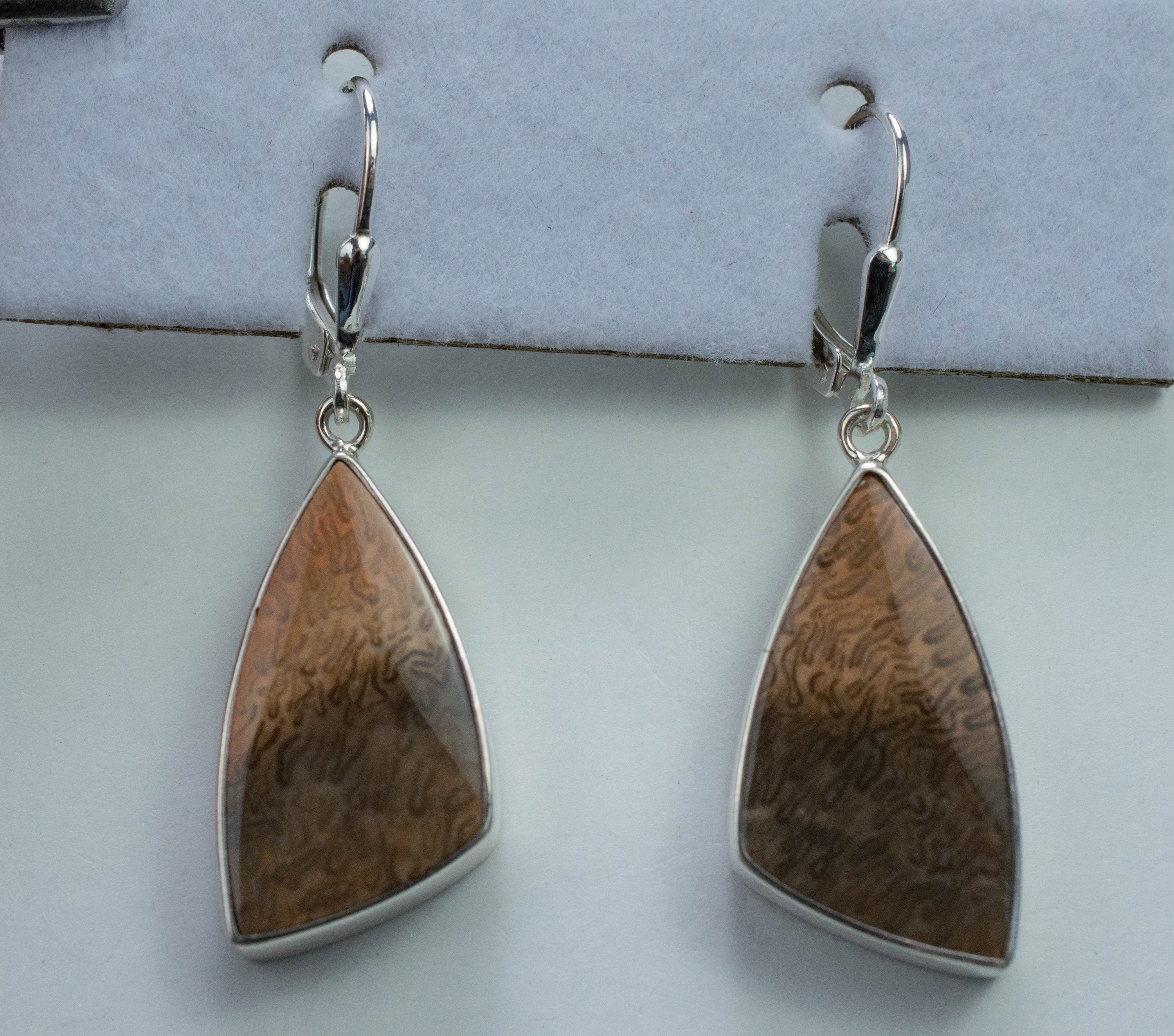 Petrified Fern Earrings; Genuine Untreated Australia Petrified Wood