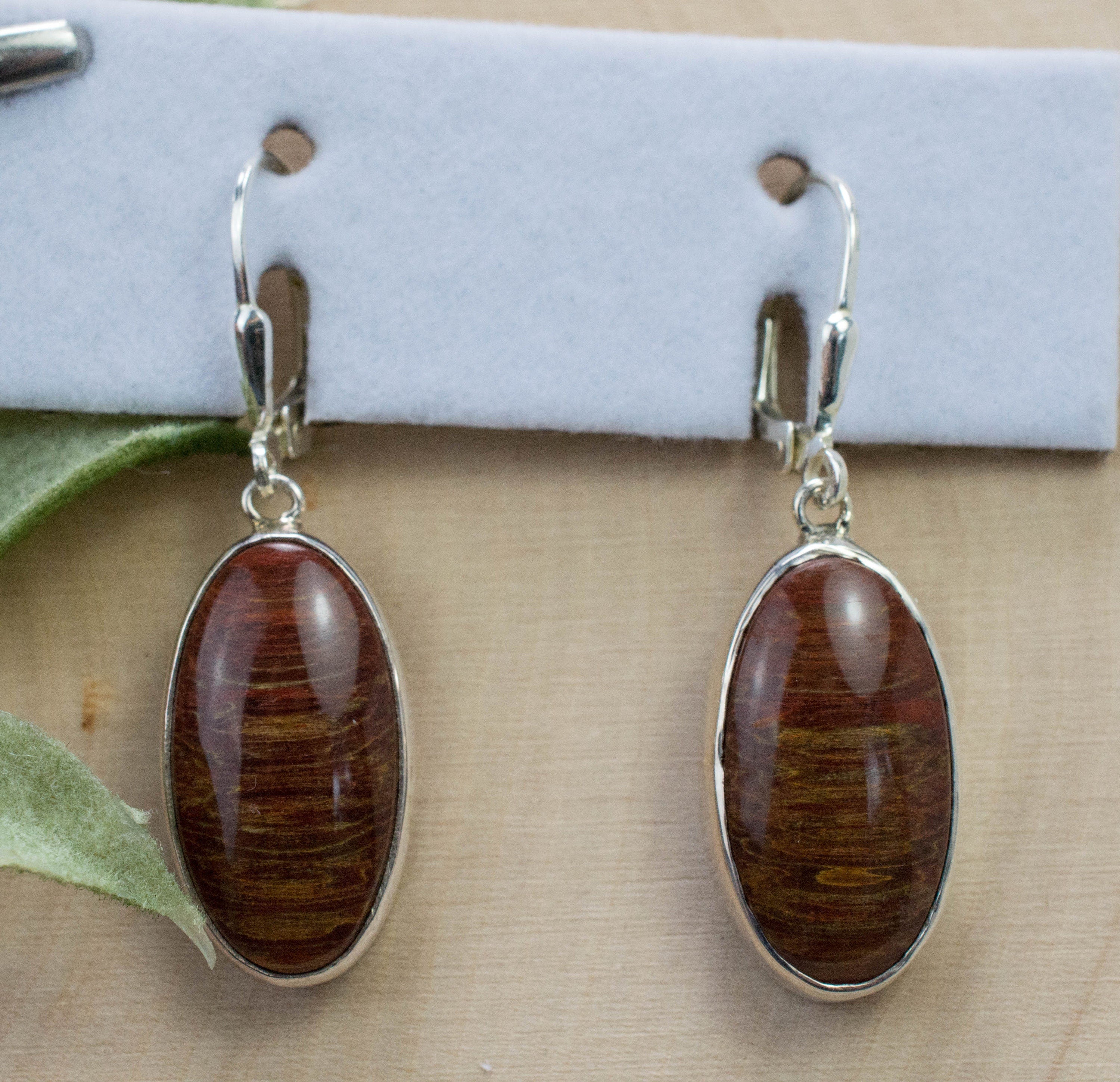 Petrified Fern Earrings; Genuine Untreated Australia Fossil Fern