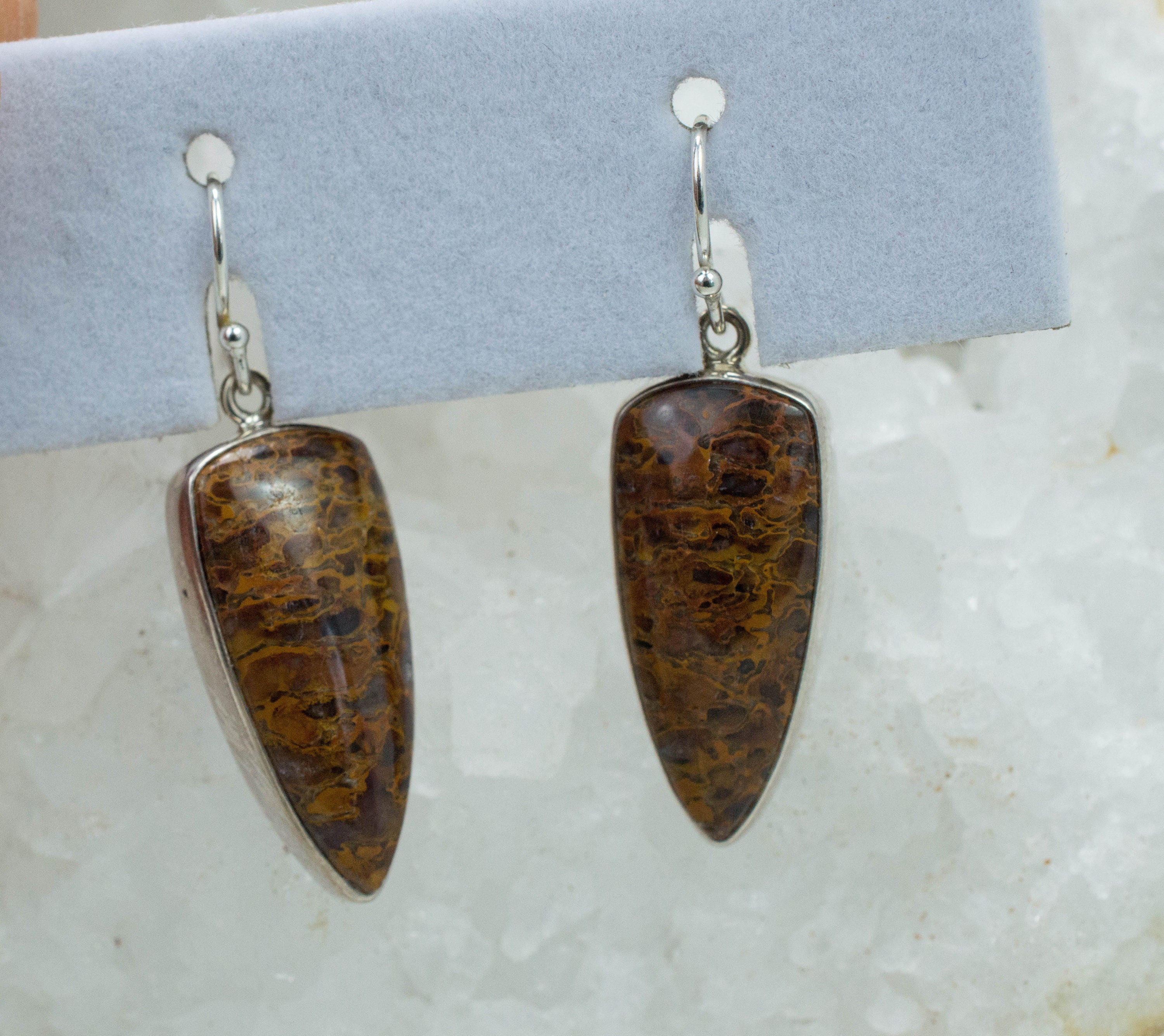 Dinosaur Bone Earrings; Natural Untreated Utah Dino Bone; 5.622g