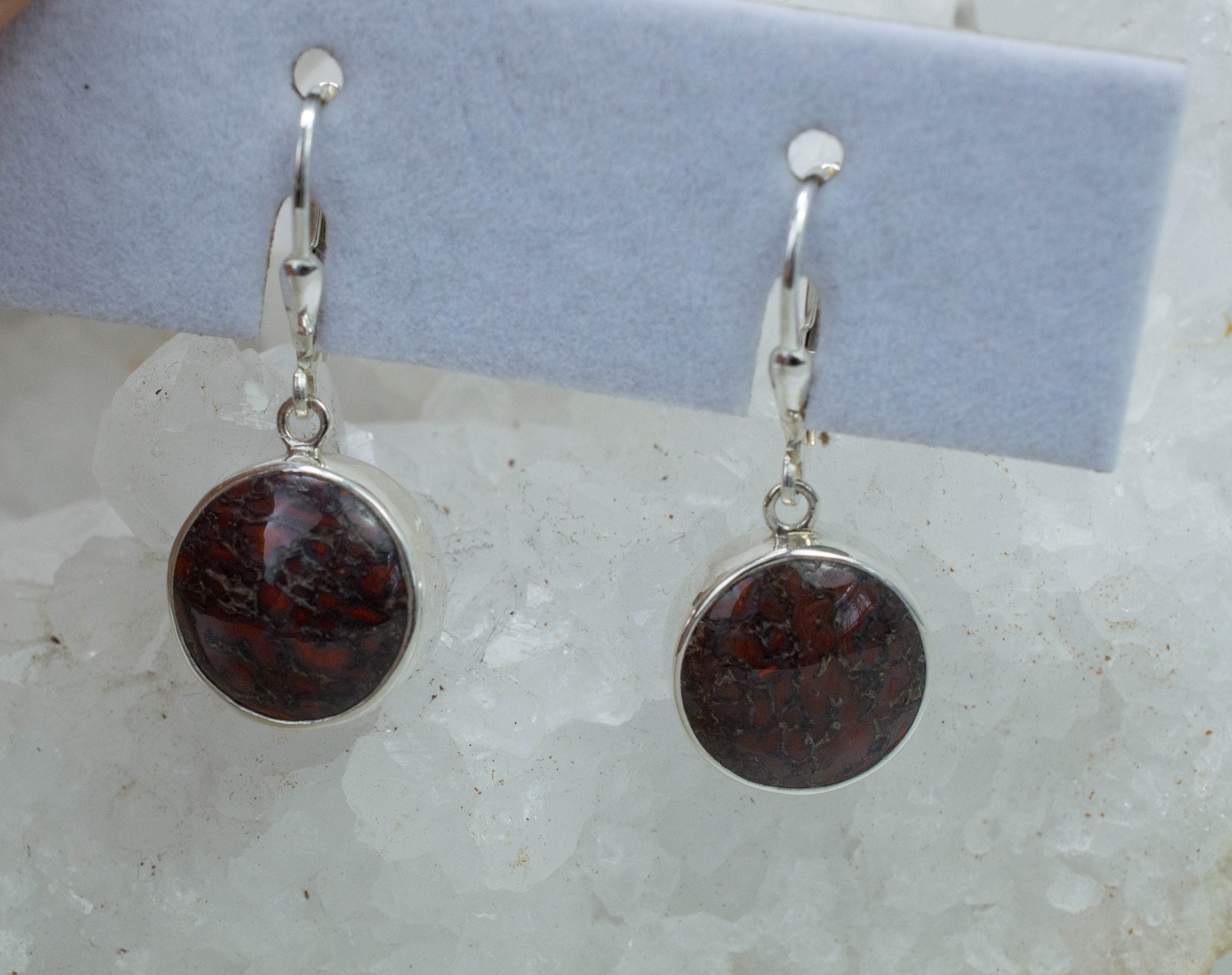 Dinosaur Bone Earrings; Natural Untreated Utah Dino Bone; 5.100g