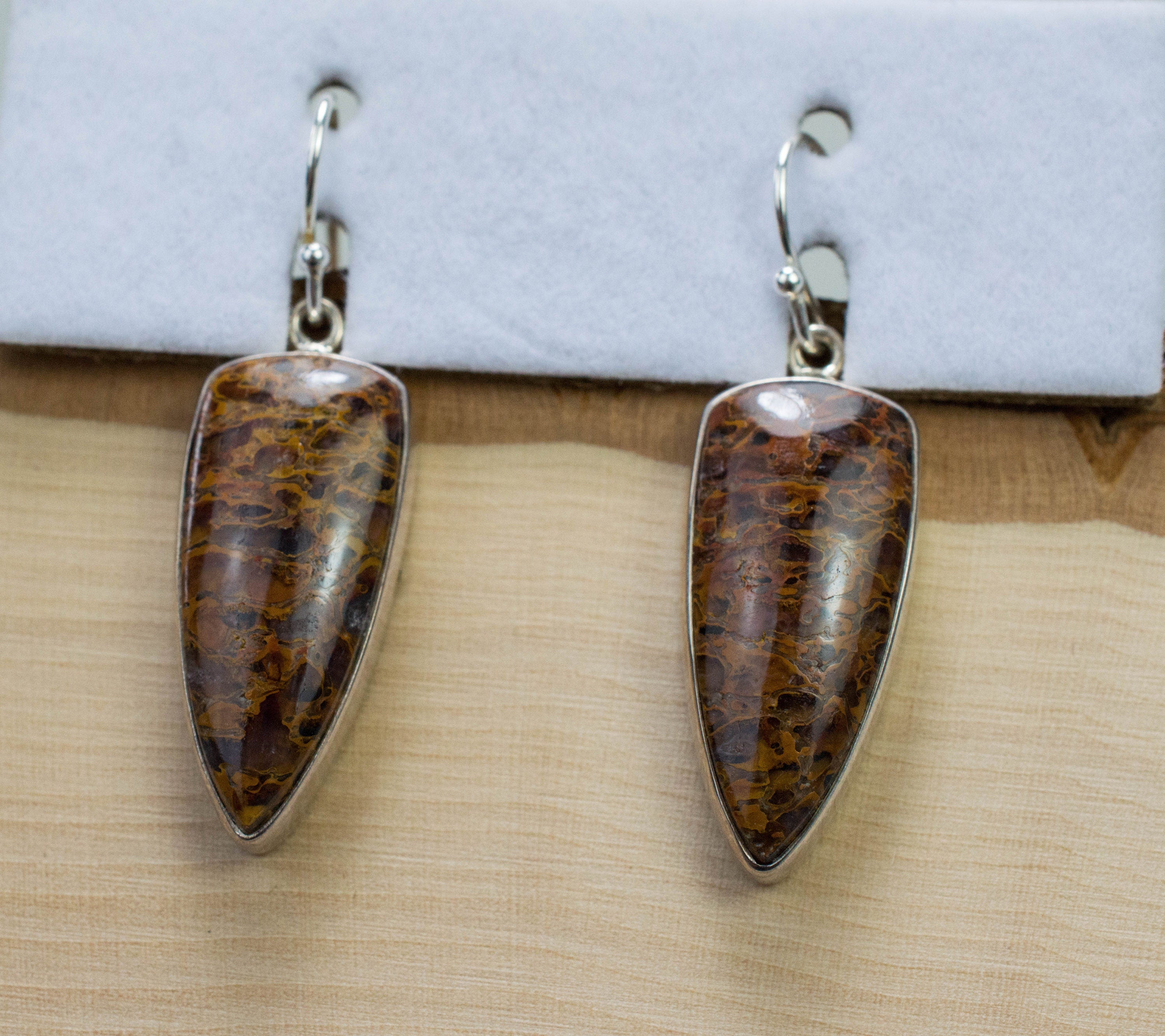 Dinosaur Bone Earrings; Natural Untreated Utah Dino Bone; 5.622g