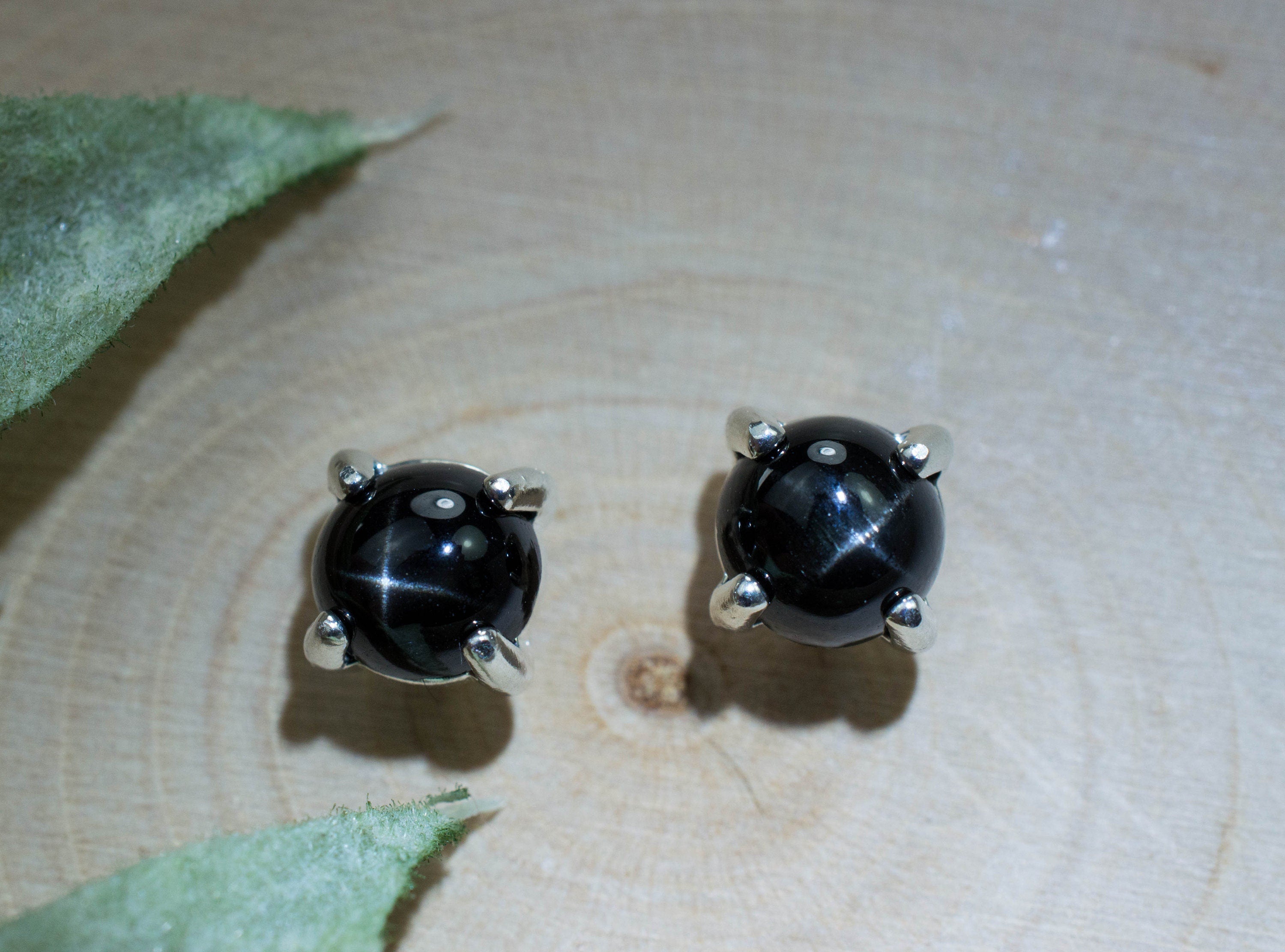 Star Diopside Earrings; Natural Untreated India Diopside; 1.740cts