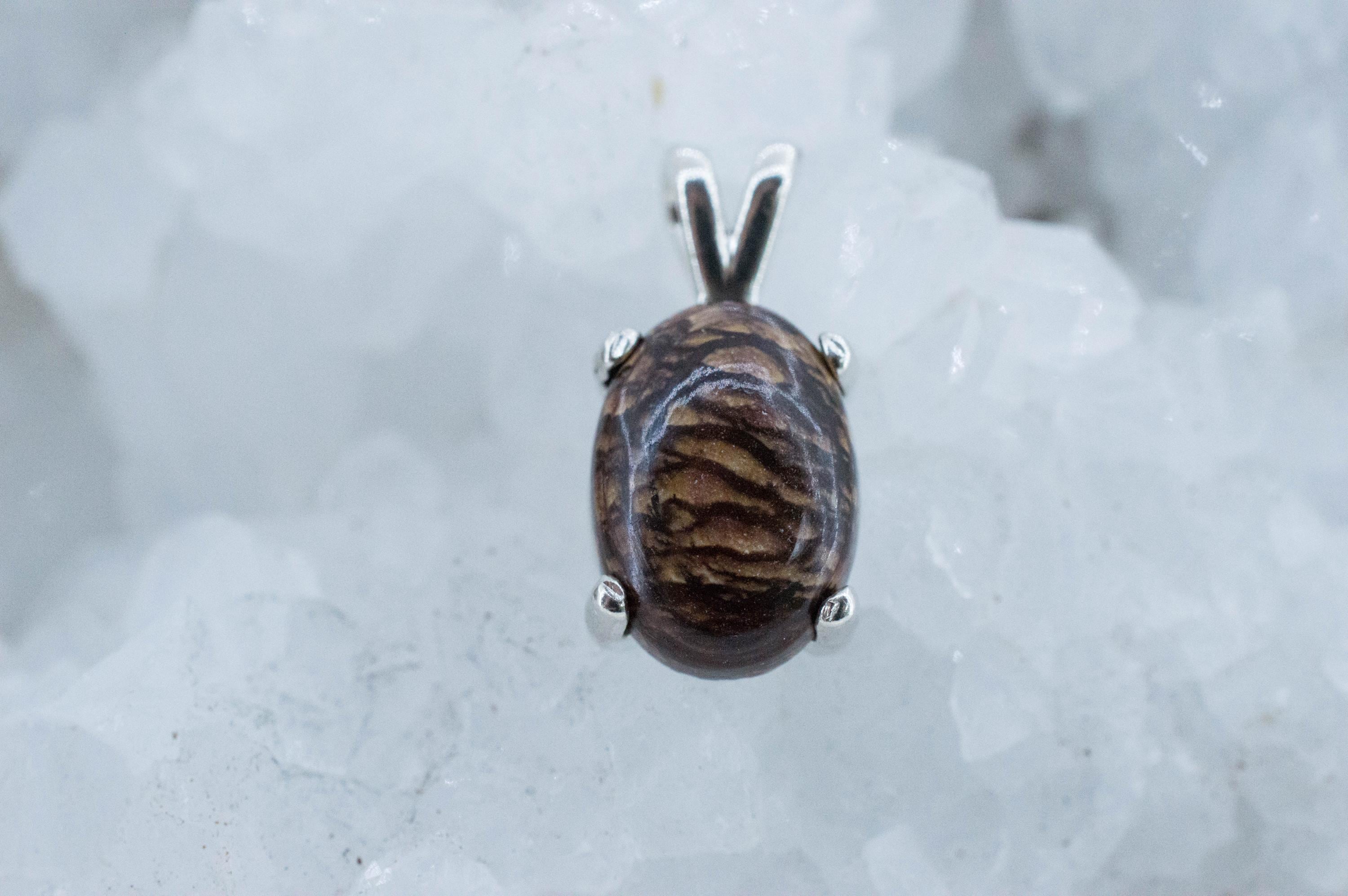 Biggs Jasper Pendant; Natural Untreated Oregon Picture Jasper; 4.915cts