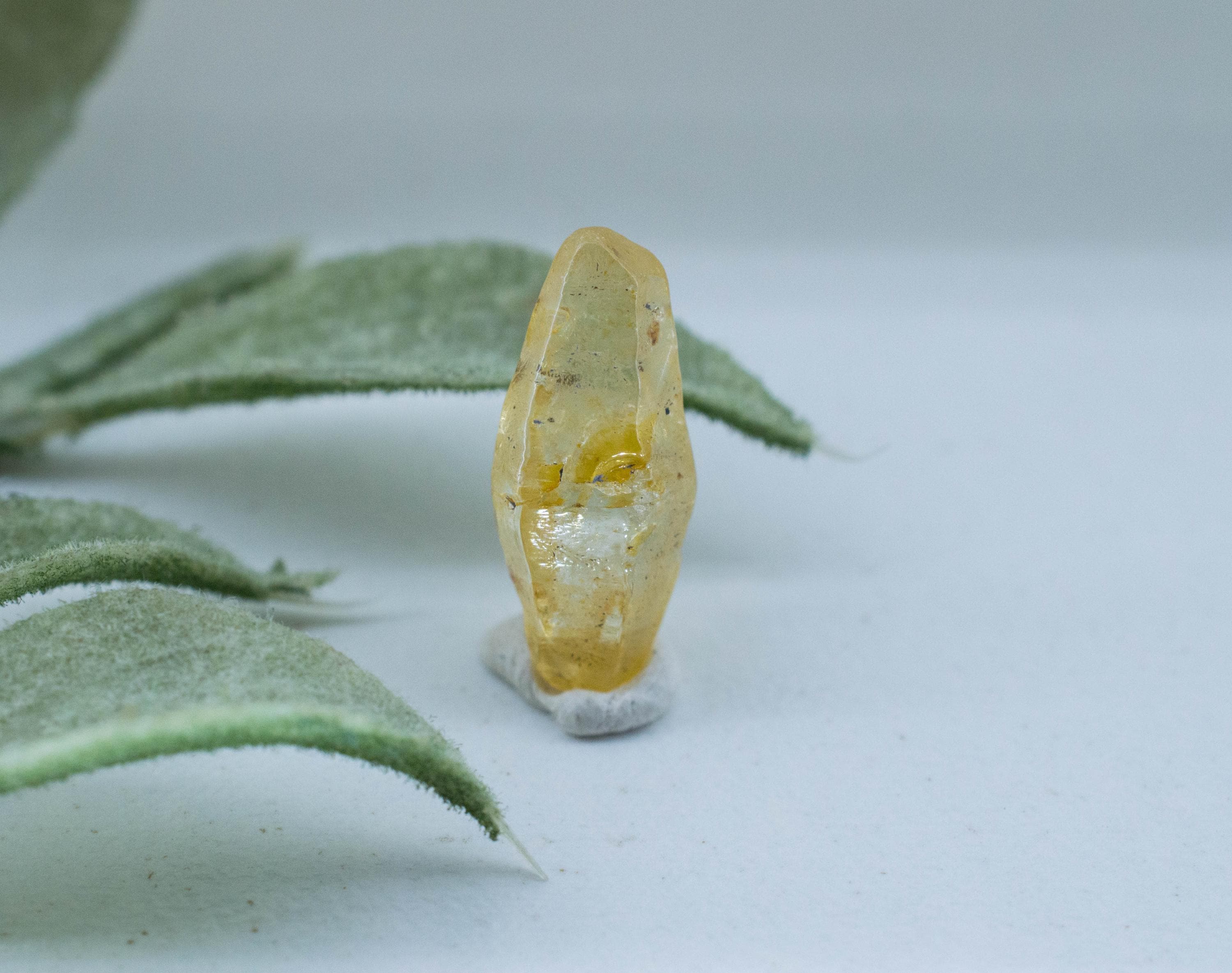 Yellow Sapphire Specimen; Natural Untreated Sri Lanka Dogtooth Sapphire Crystal; 5.340cts