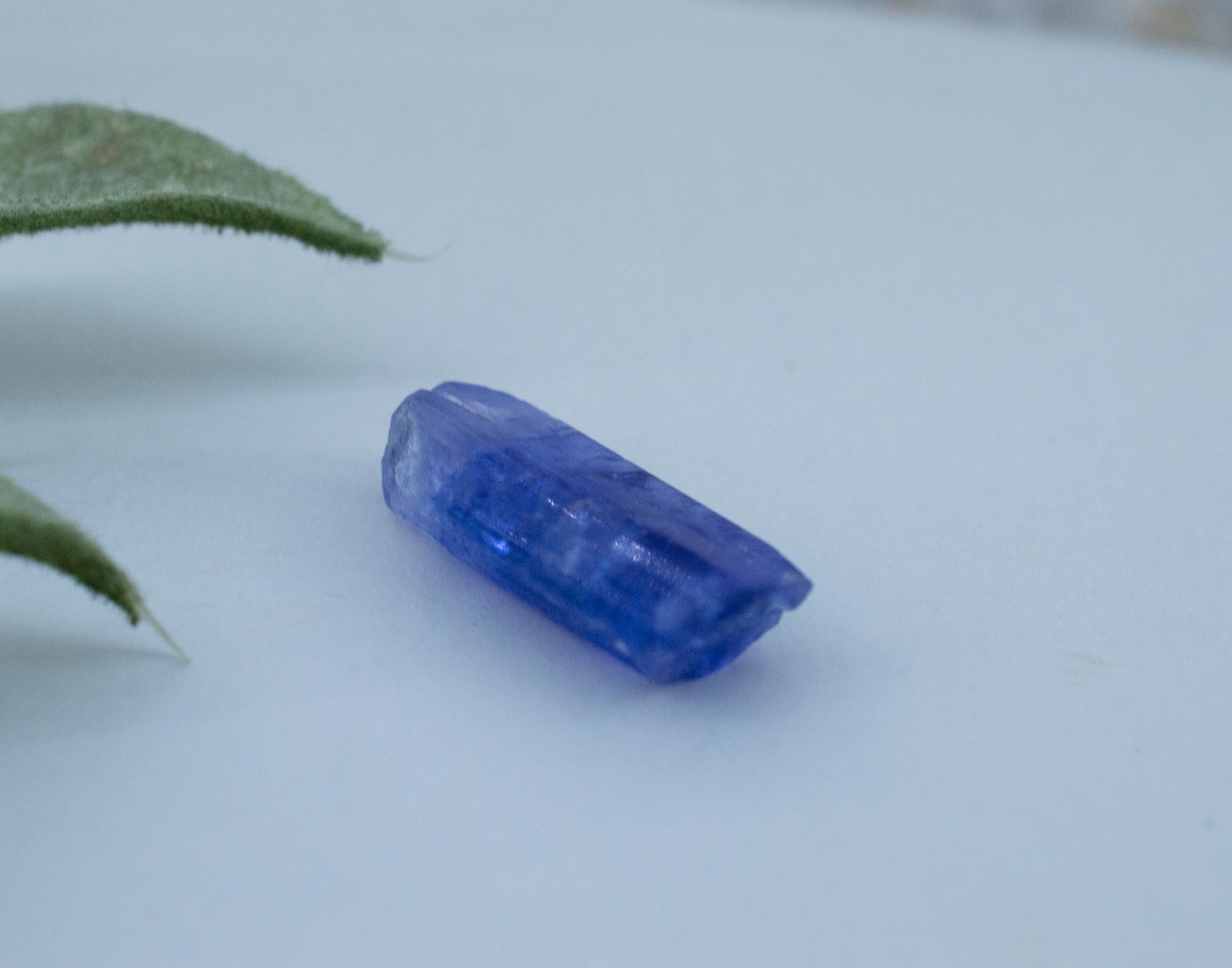 Tanzanite Crystal; Natural Untreated Tanzania Raw Tanzanite; 6.645cts