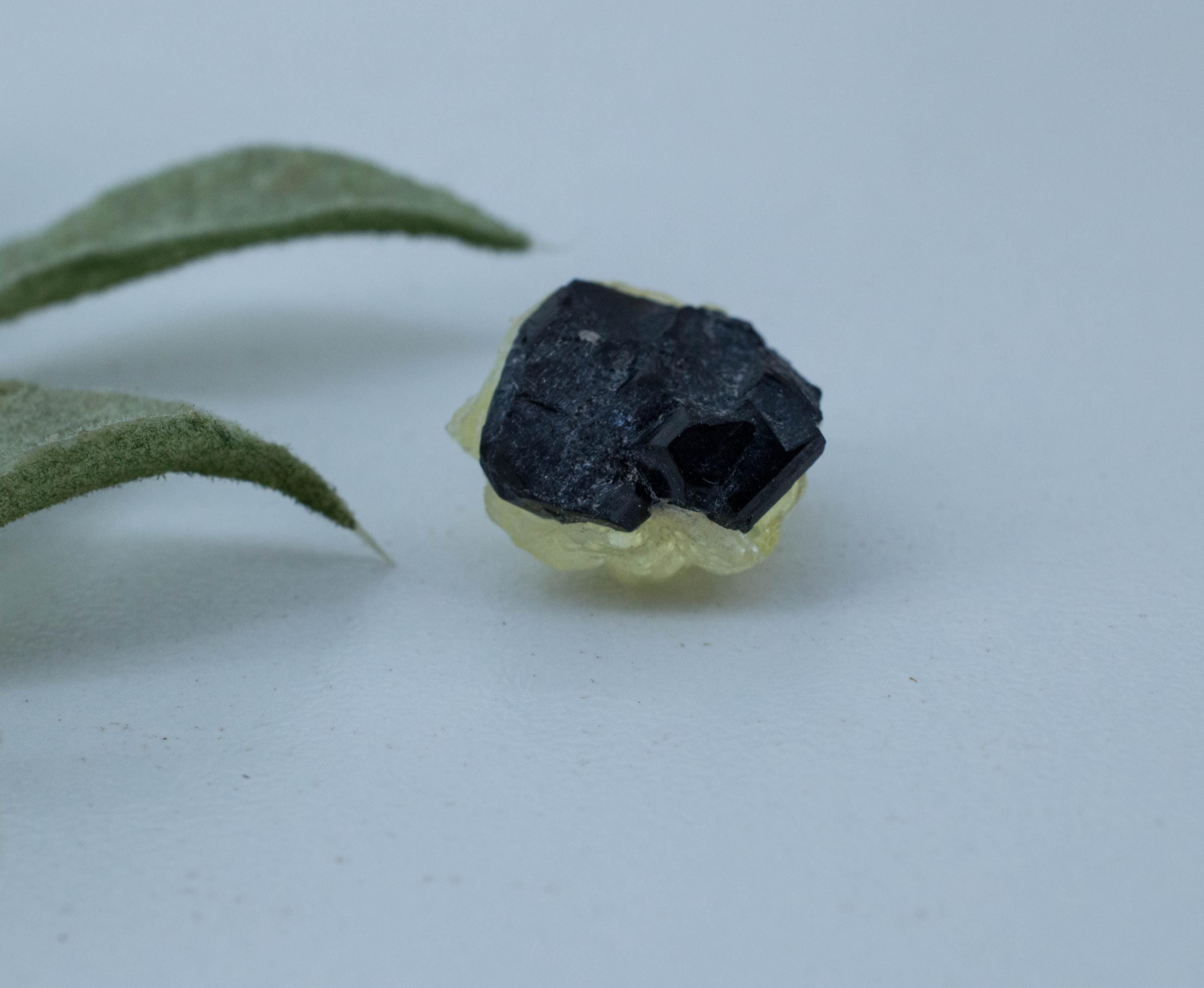 Hyalite Opal and Black Tourmaline Specimen; Natural Untreated Erongo Namibia Fluorescent Opal; 12.255cts