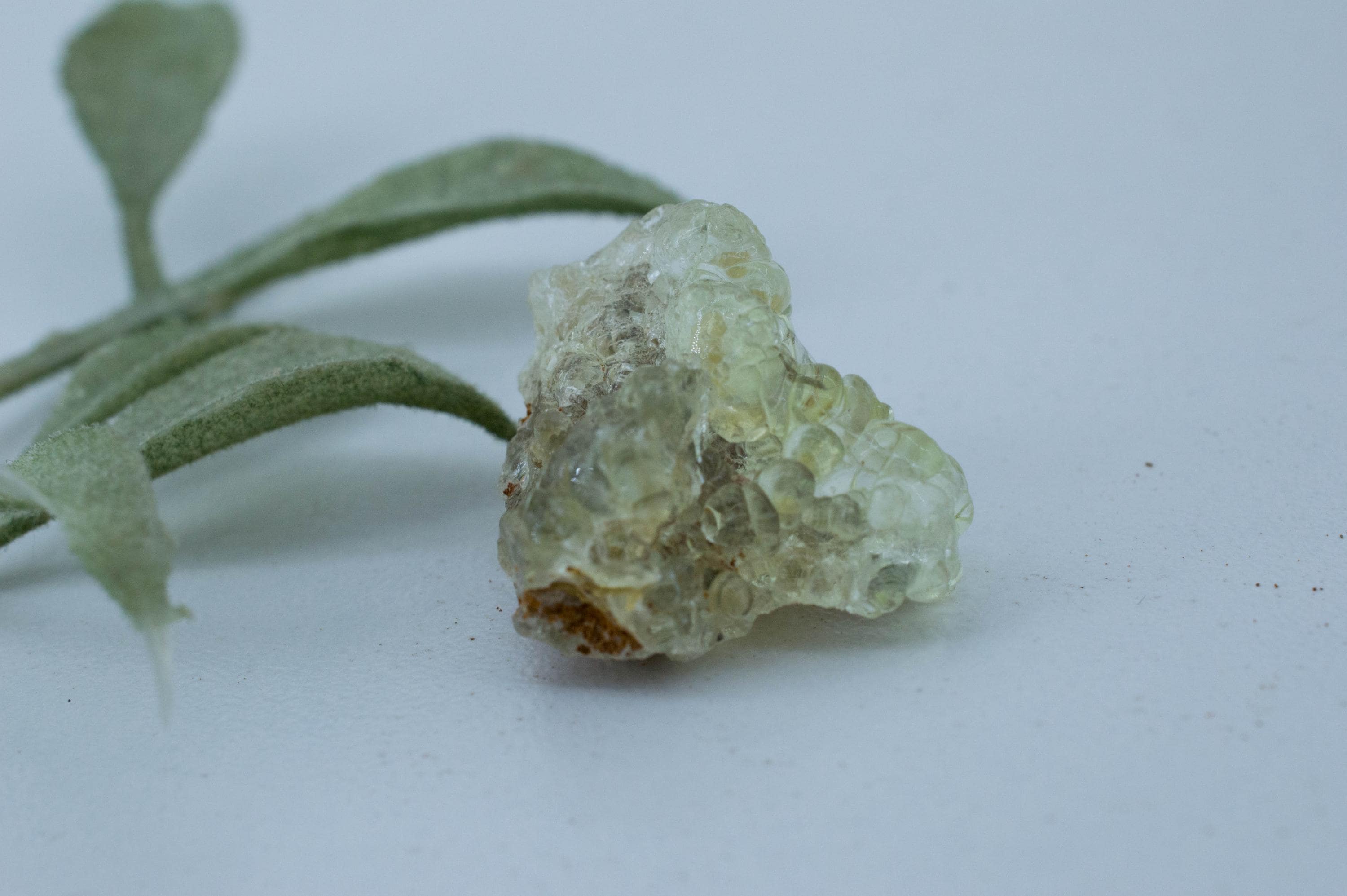 Hyalite Opal Specimen; Natural Untreated Erongo Namibia Fluorescent Opal; 21.675cts