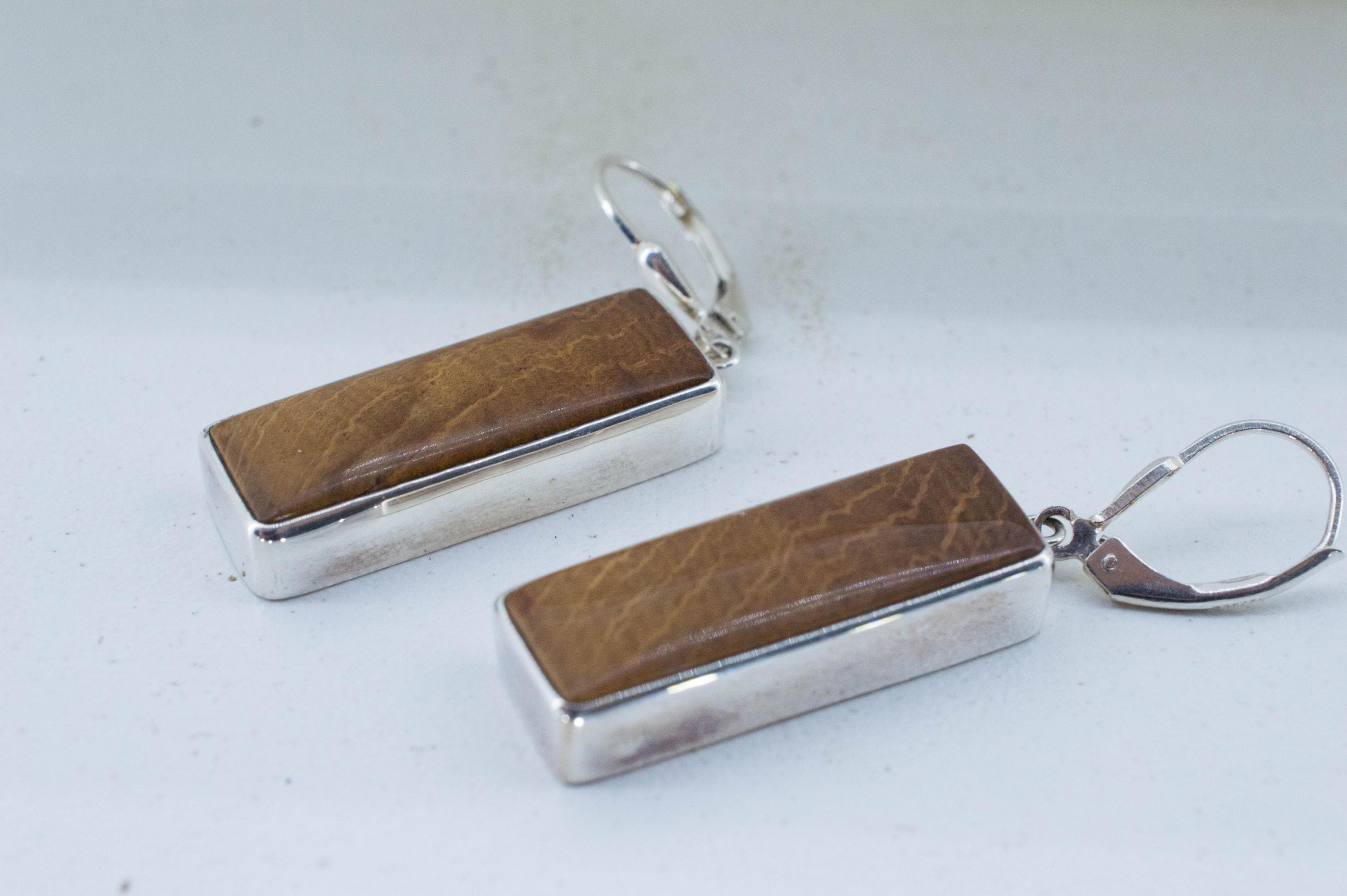 Petrified Wood Earrings; Natural Untreated Oregon Petrified Wood