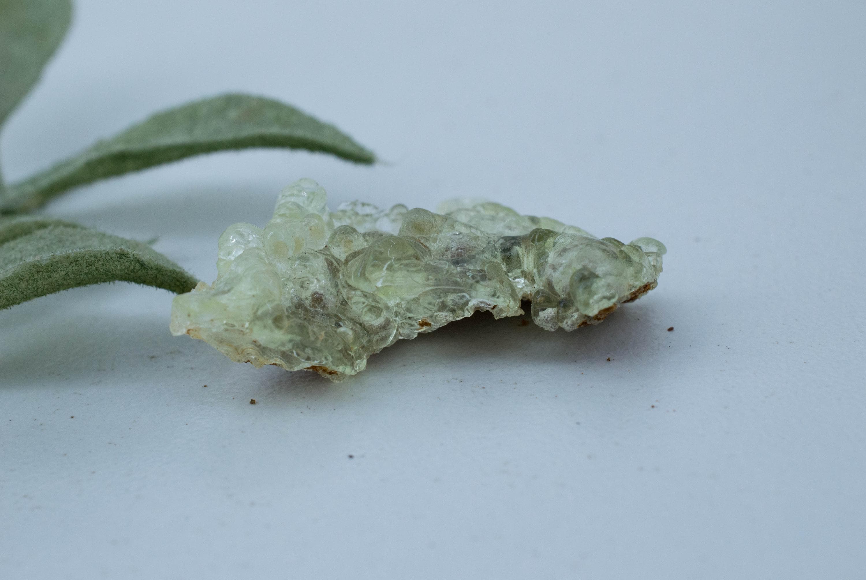 Hyalite Opal Specimen; Natural Untreated Erongo Namibia Fluorescent Opal; 17.955cts