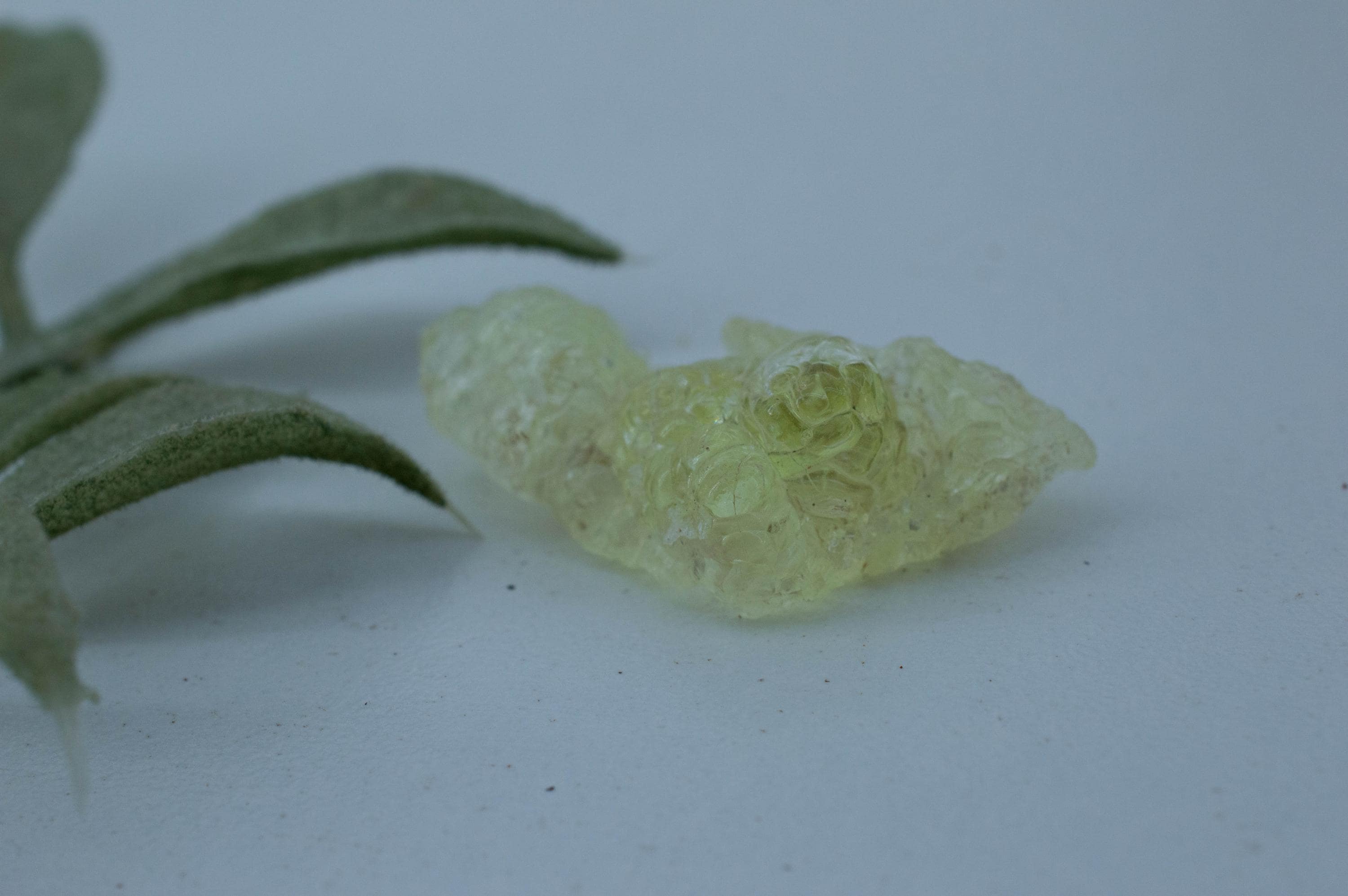 Hyalite Opal Specimen; Natural Untreated Erongo Namibia Fluorescent Opal; 18.960cts