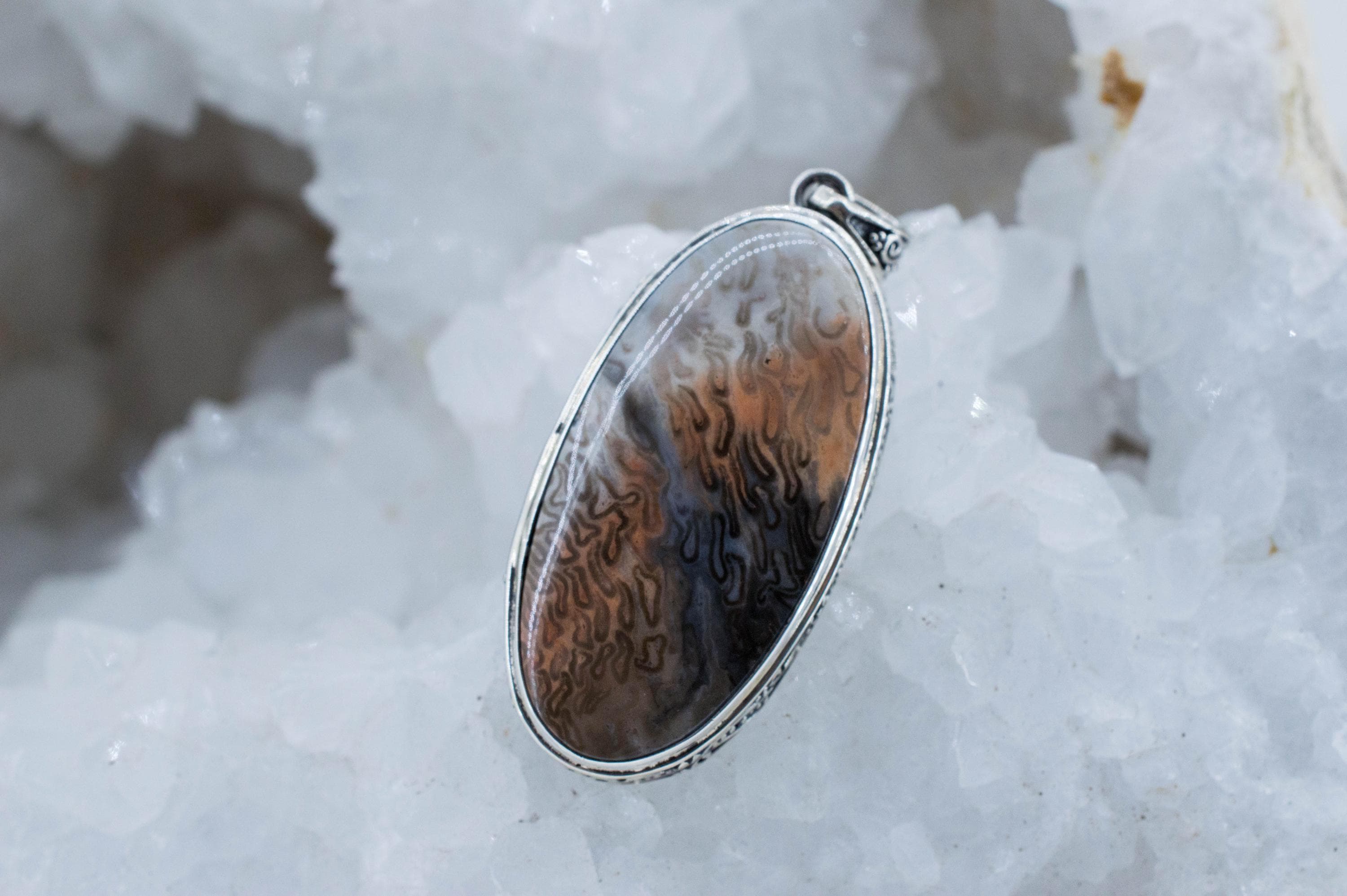 Petrified Fern Pendant; Natural Untreated Brazil Petrified Fern; 35x18mm
