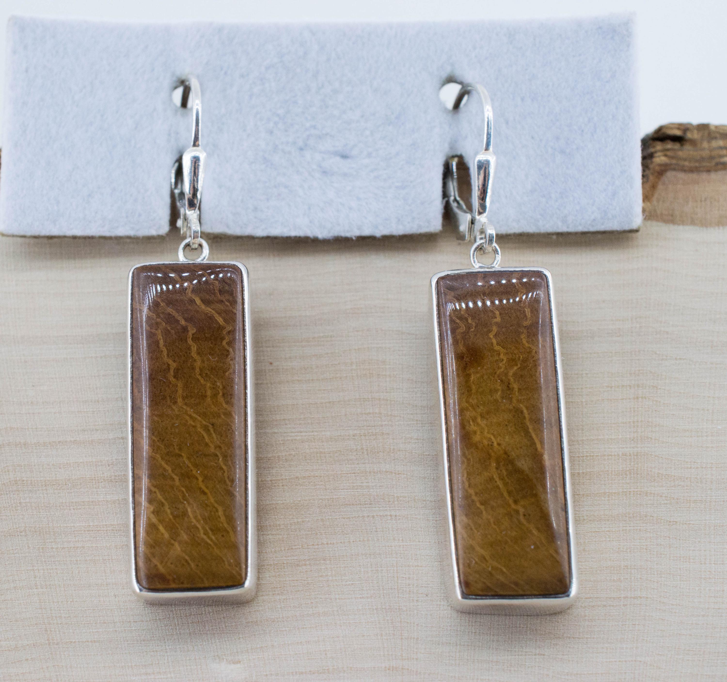 Petrified Wood Earrings; Natural Untreated Oregon Petrified Wood
