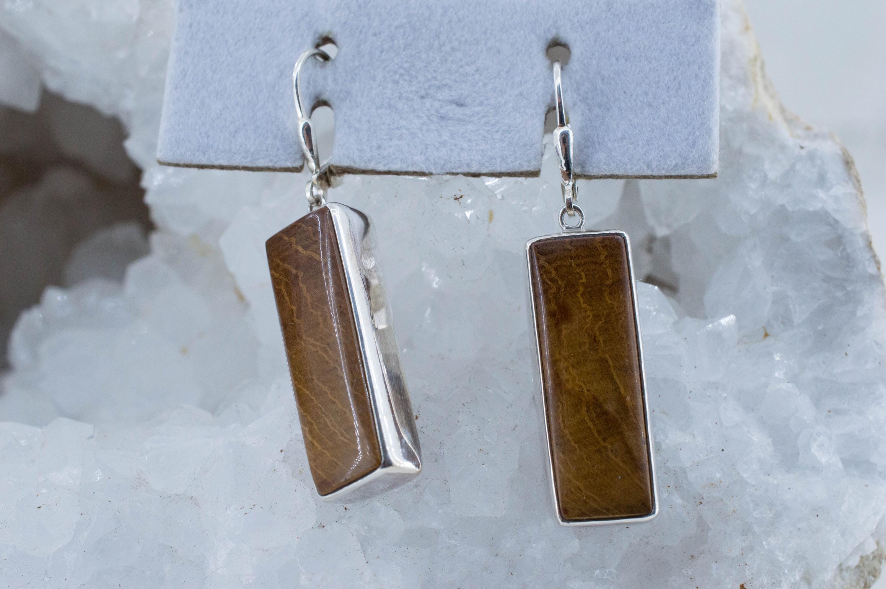 Petrified Wood Earrings; Natural Untreated Oregon Petrified Wood