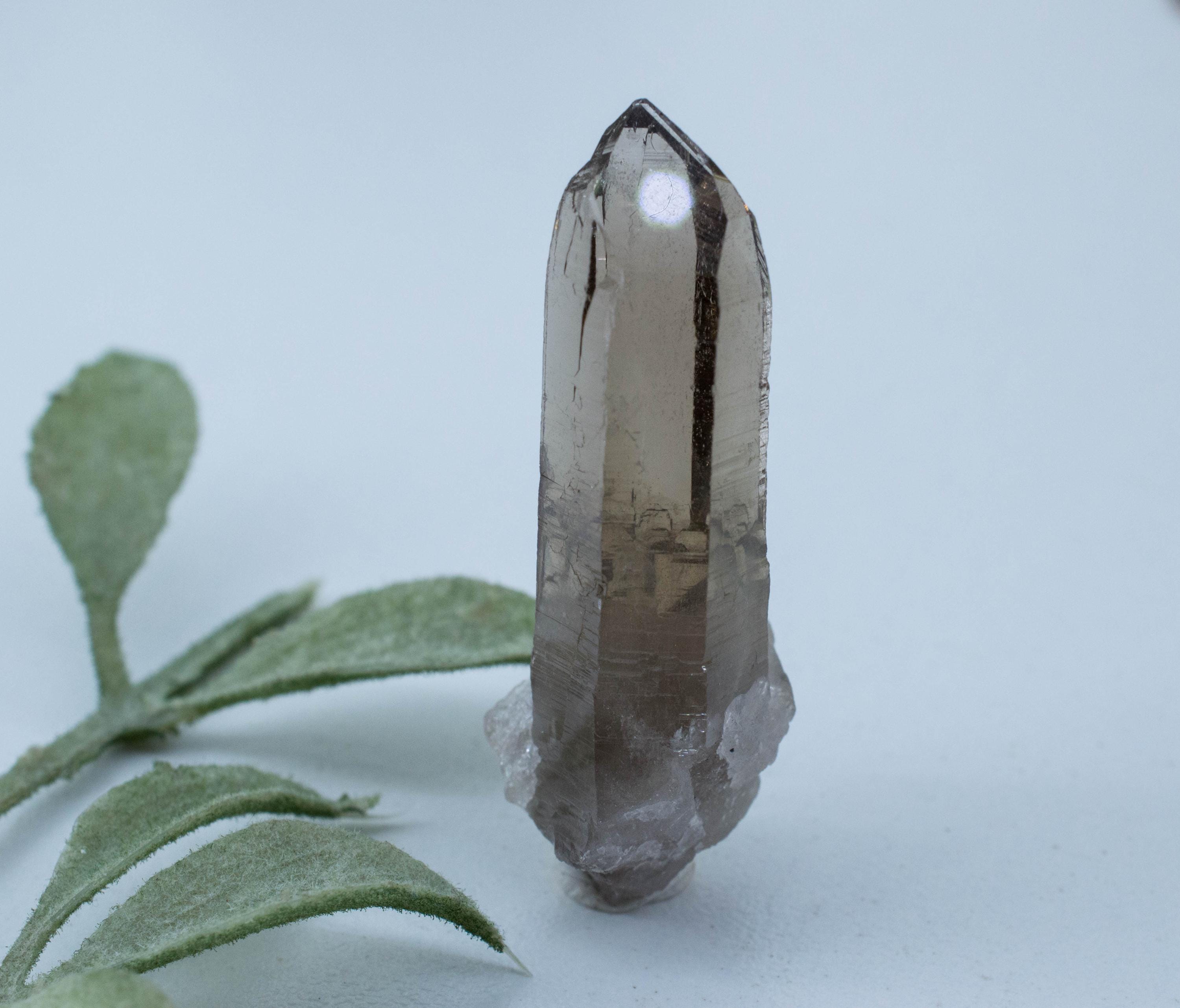 Smoky Quartz Crystal; Natural Untreated Sri Lanka Etched Quartz; 52.365cts