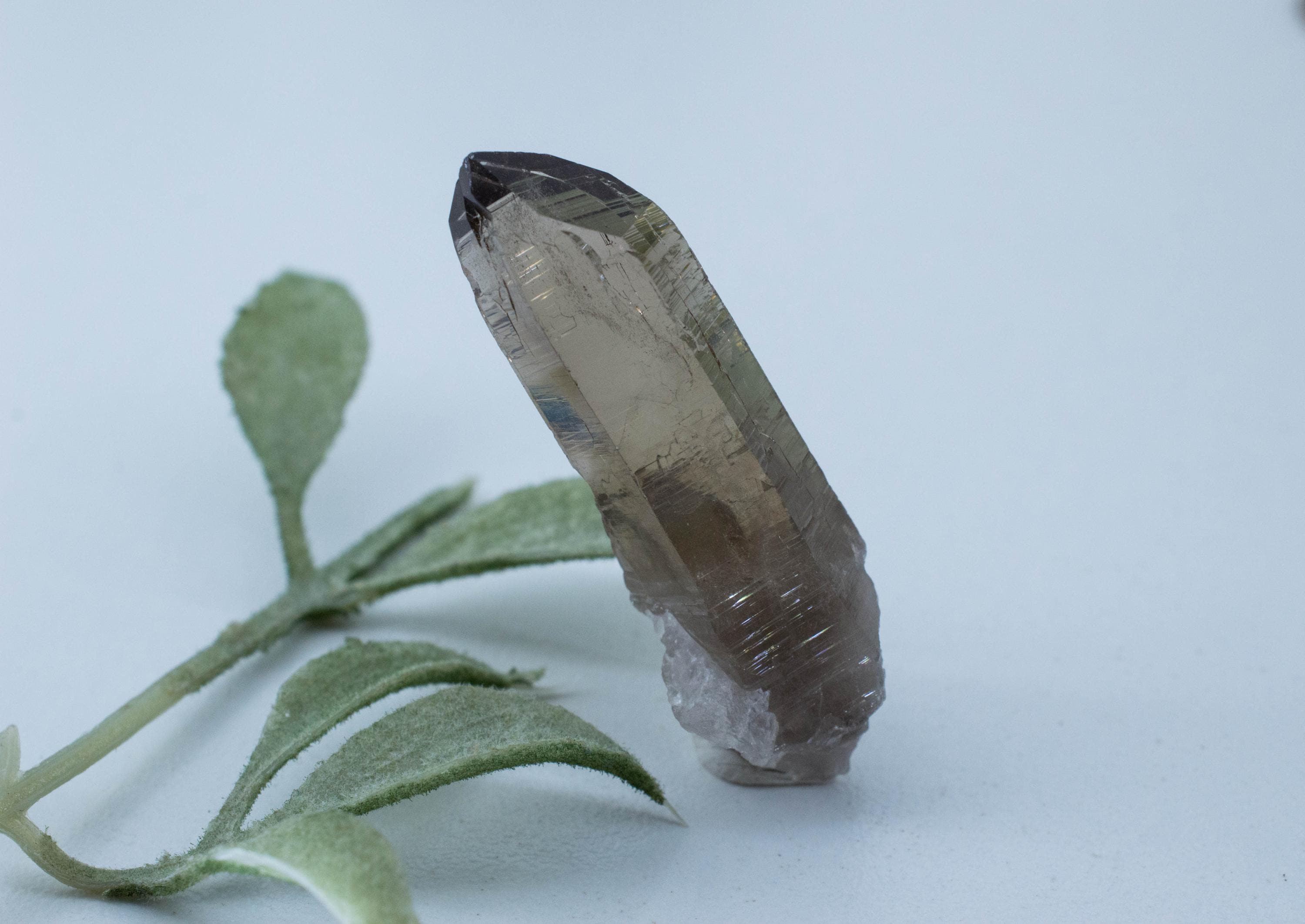 Smoky Quartz Crystal; Natural Untreated Sri Lanka Etched Quartz; 52.365cts