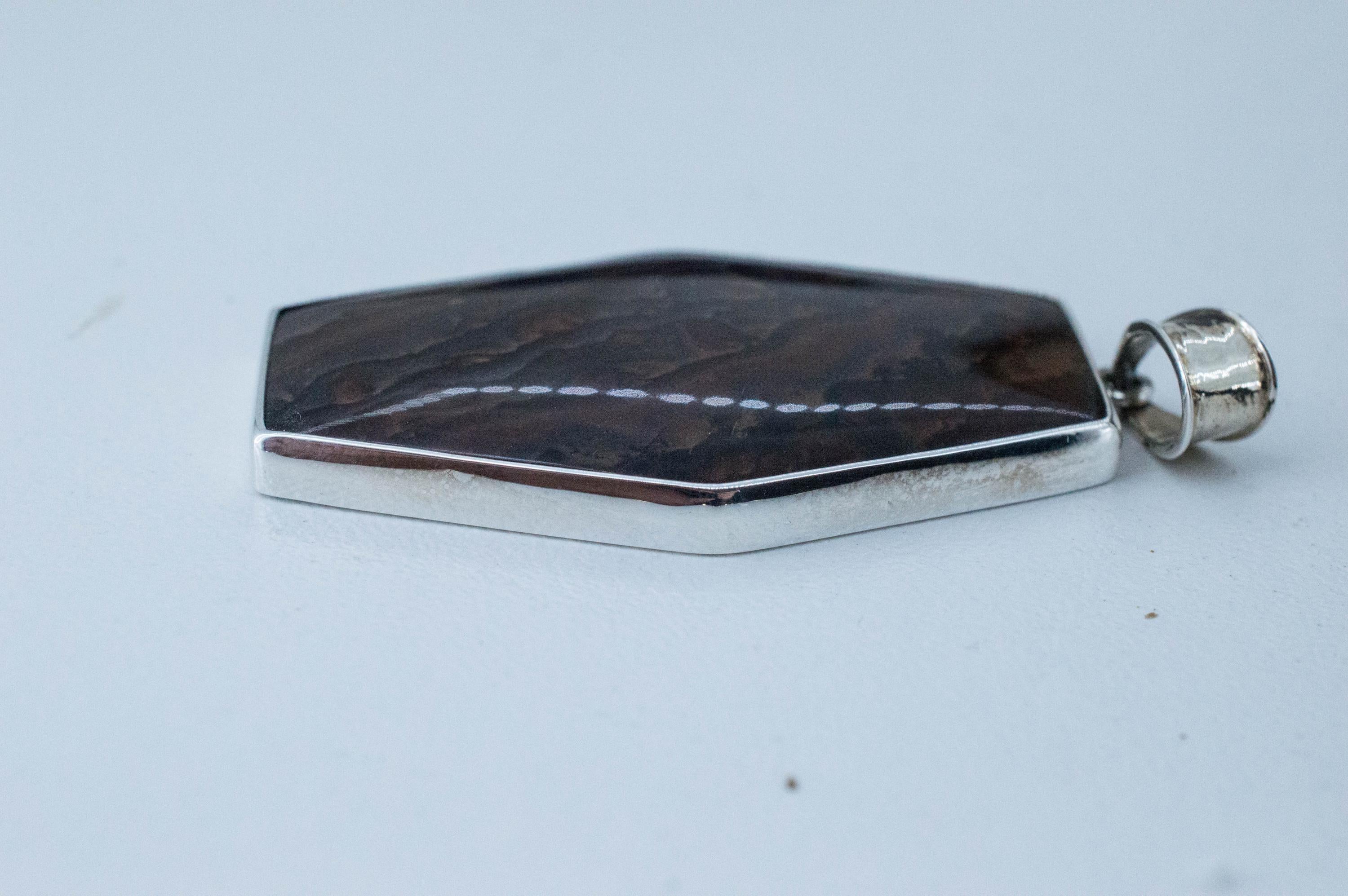 Deschutes Jasper Pendant; Natural Untreated Oregon Picture Jasper