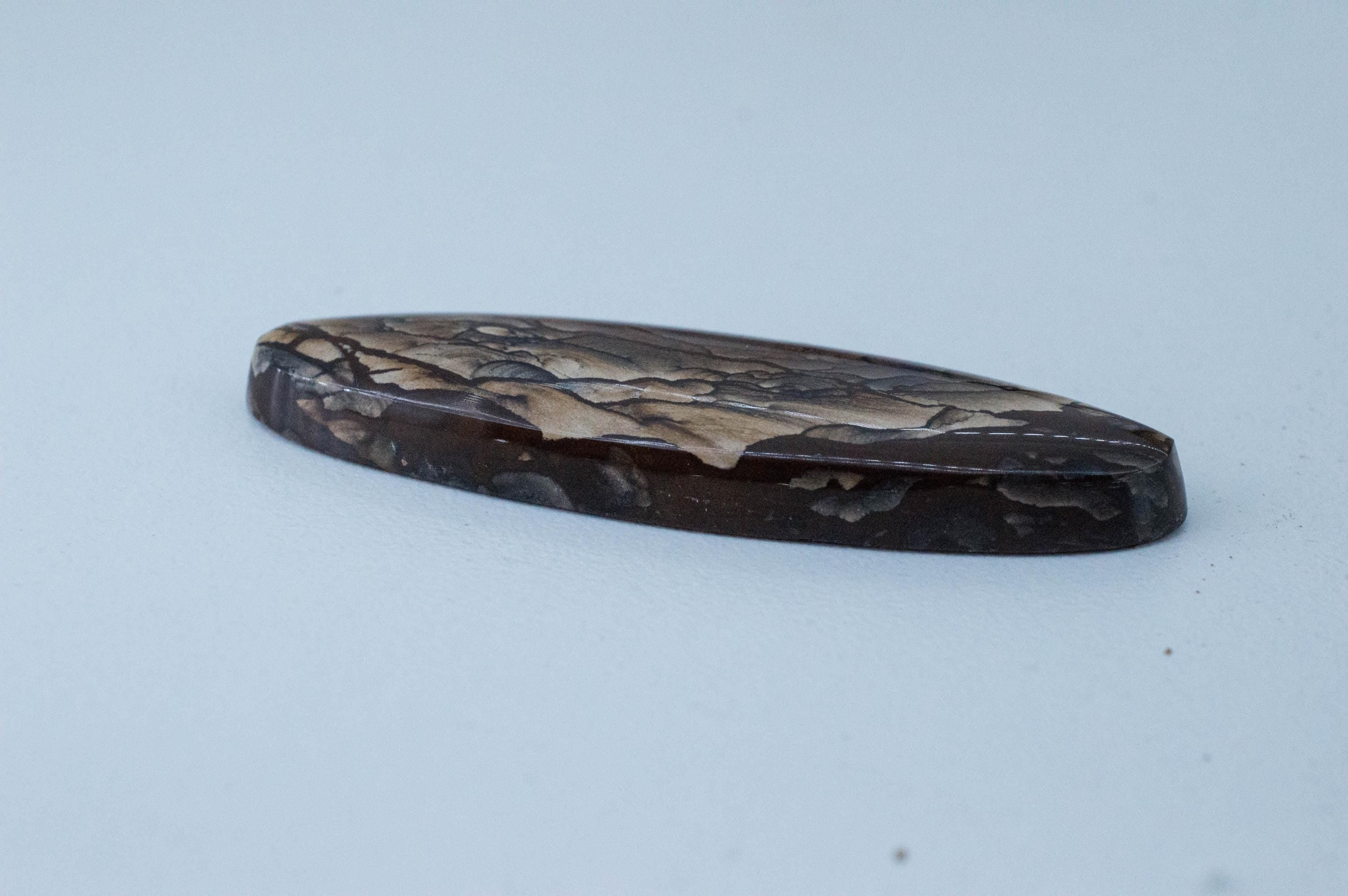 Deschutes Jasper; Natural Untreated Oregon Picture Jasper; 50.110cts