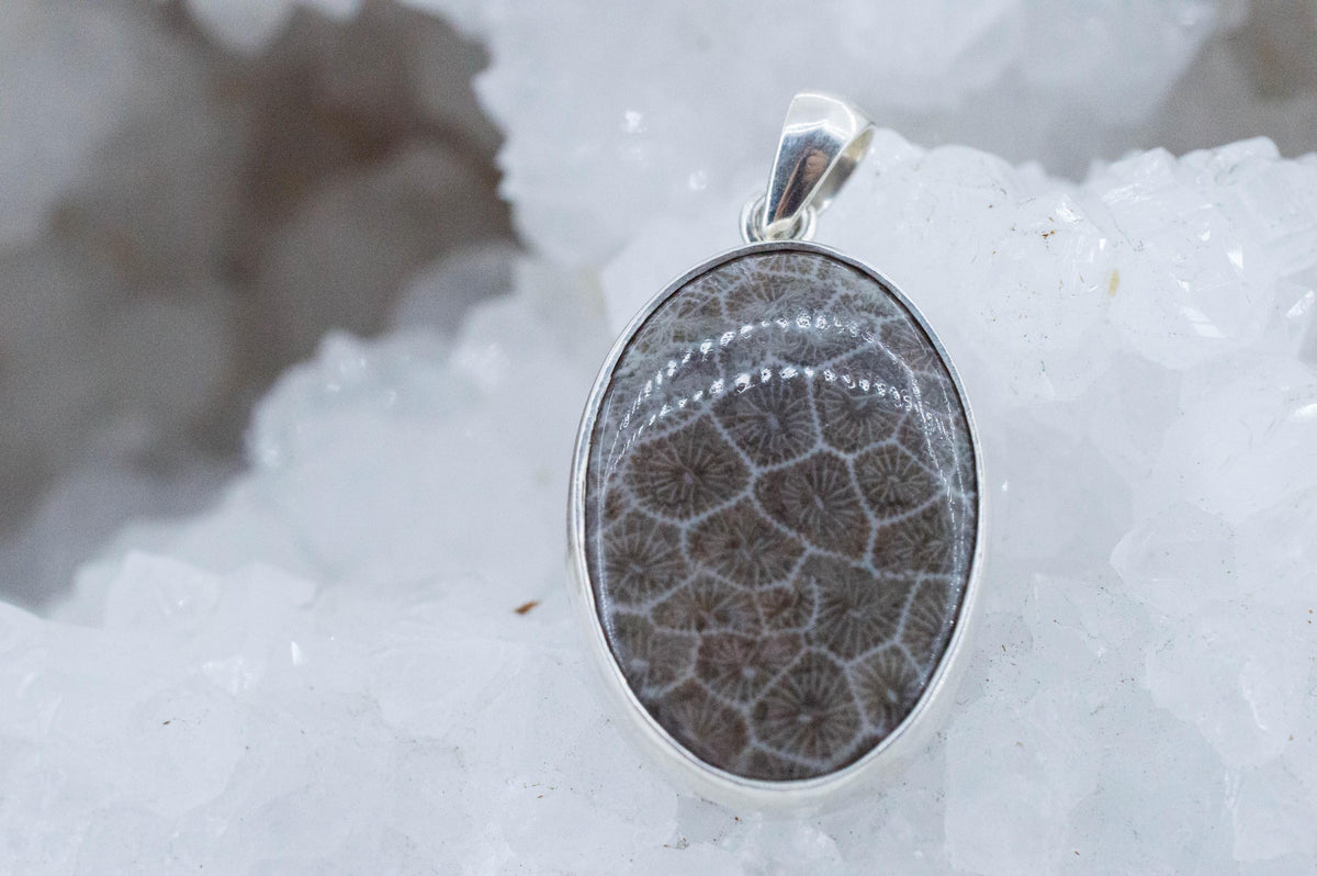 Petoskey Stone Pendant; Natural Untreated Michigan Fossil Coral