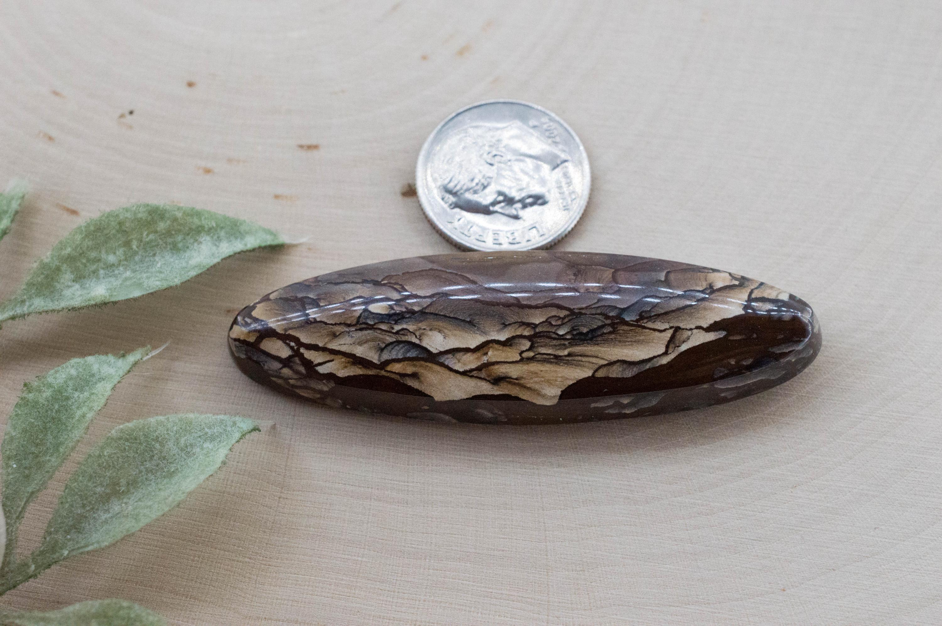 Deschutes Jasper; Natural Untreated Oregon Picture Jasper; 50.110cts